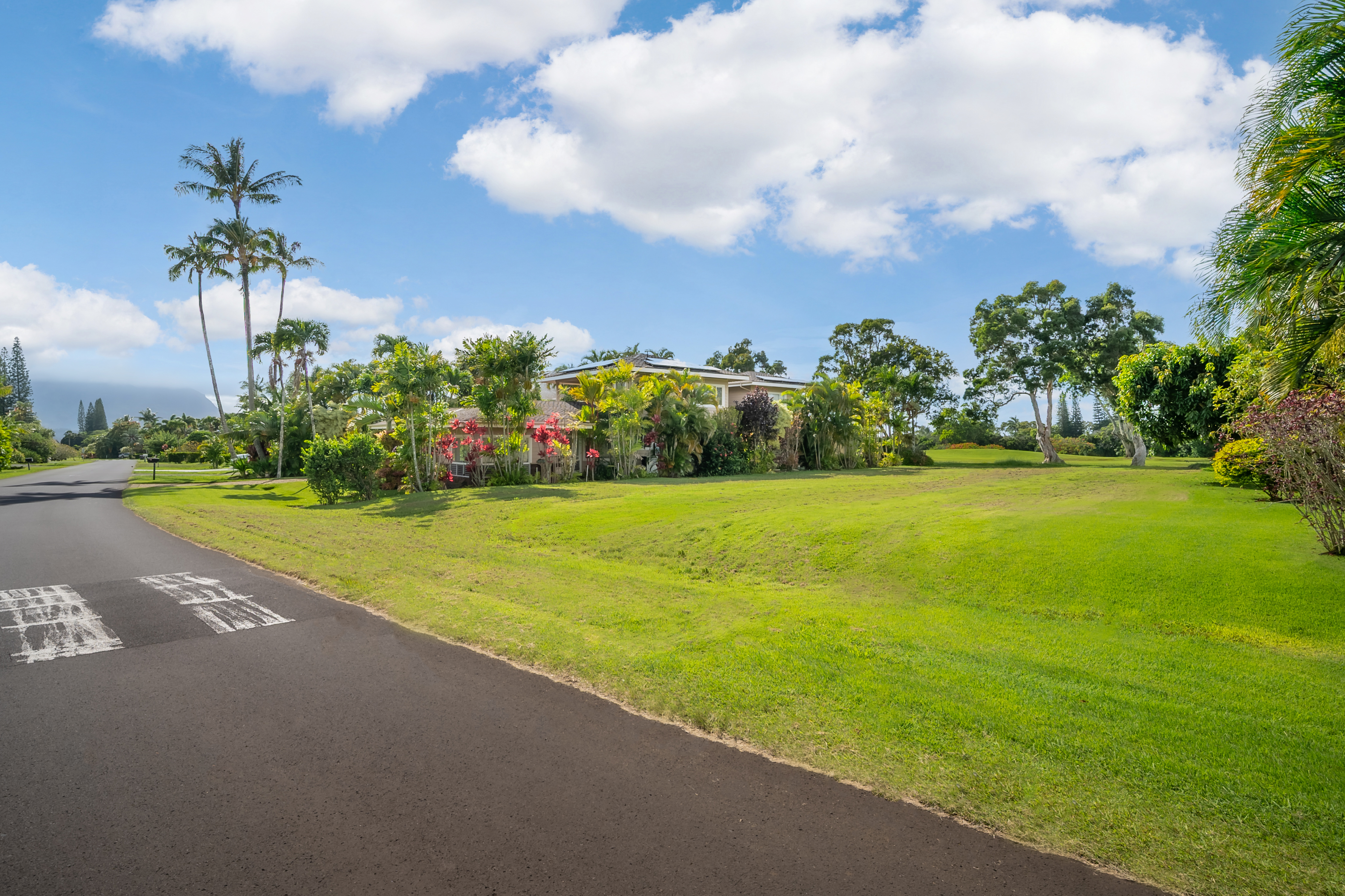 Honoiki Rd Property Photo 4
