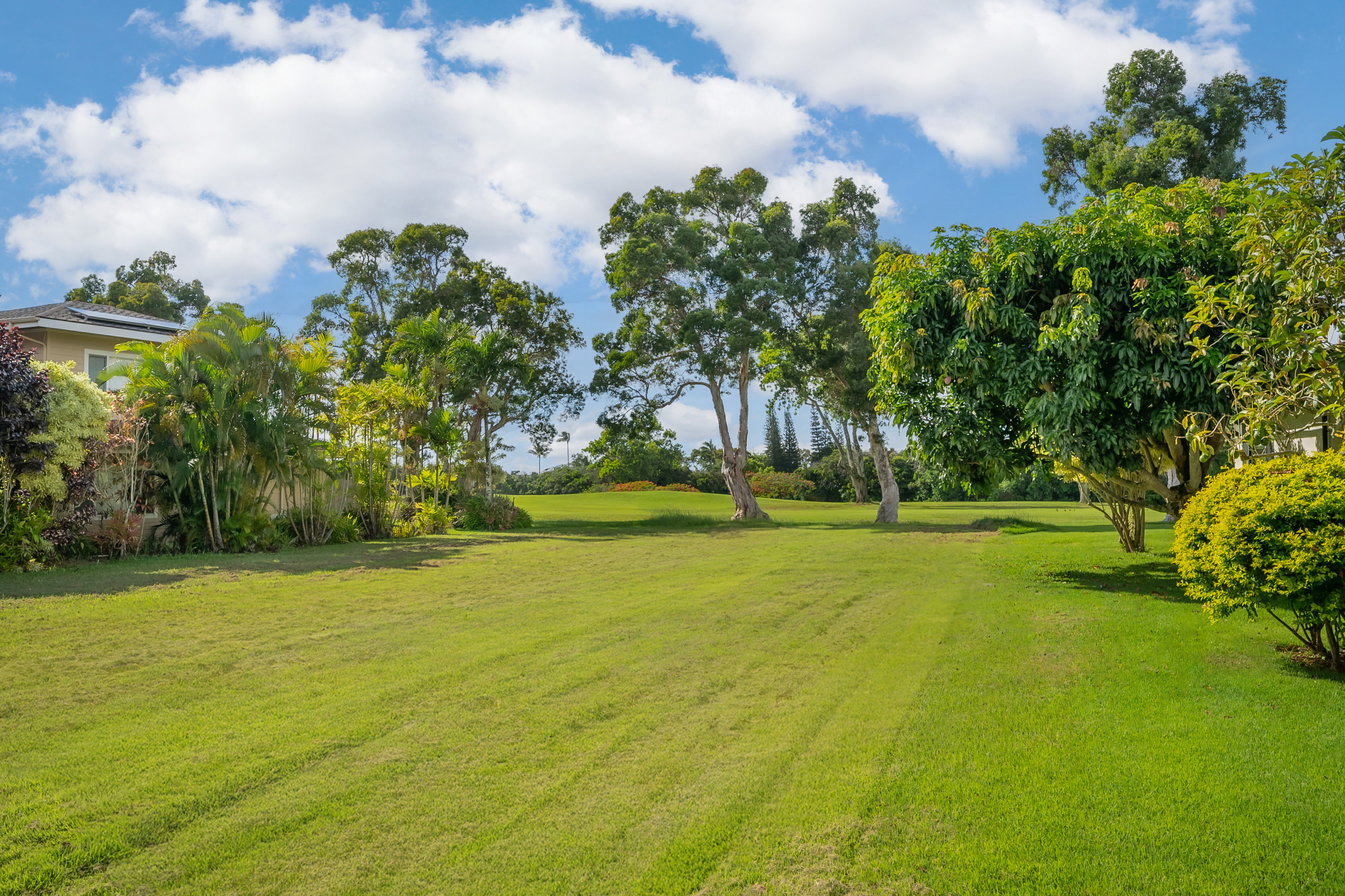 Honoiki Rd Property Photo 6