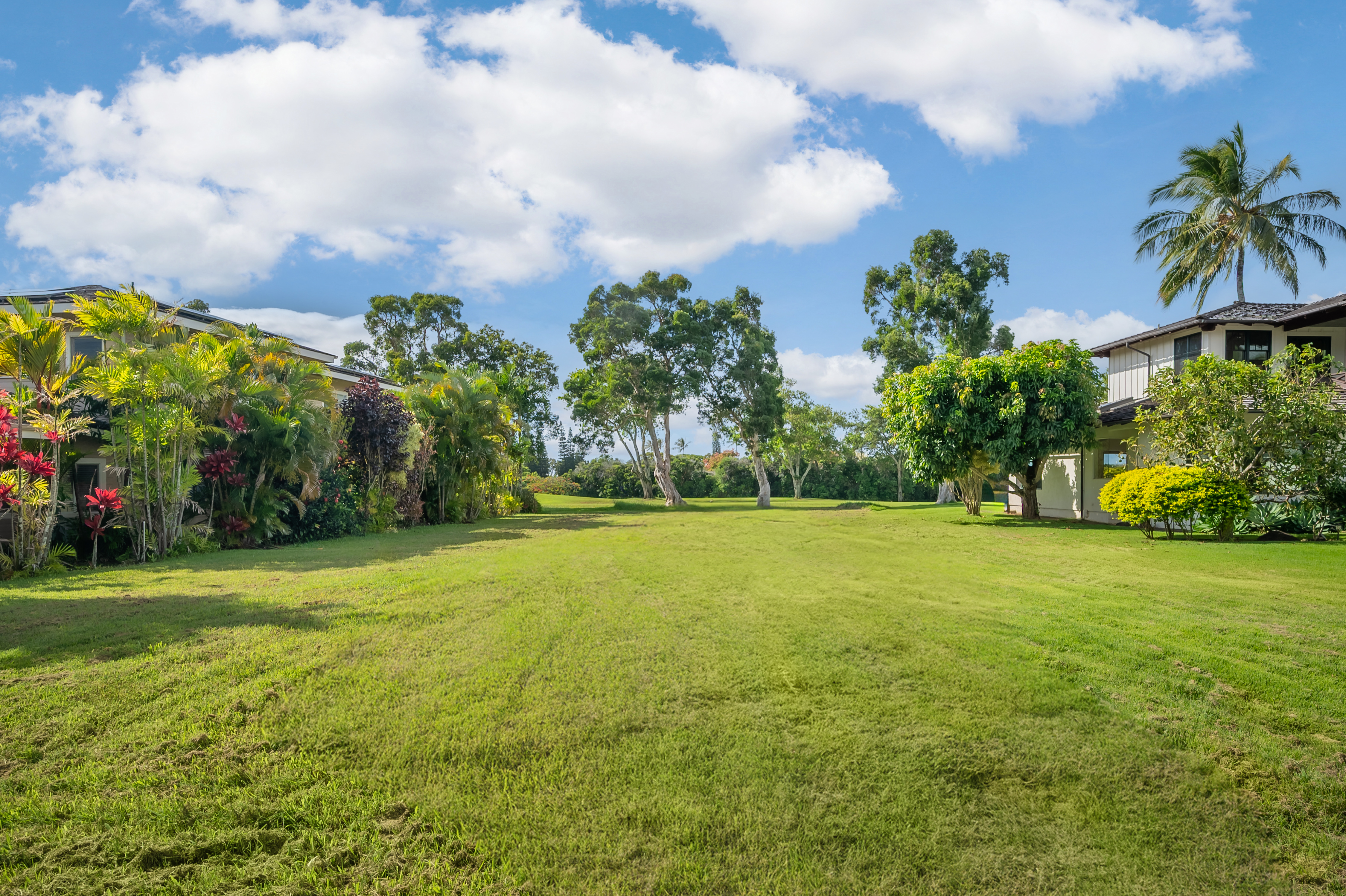 Honoiki Rd Property Photo 10