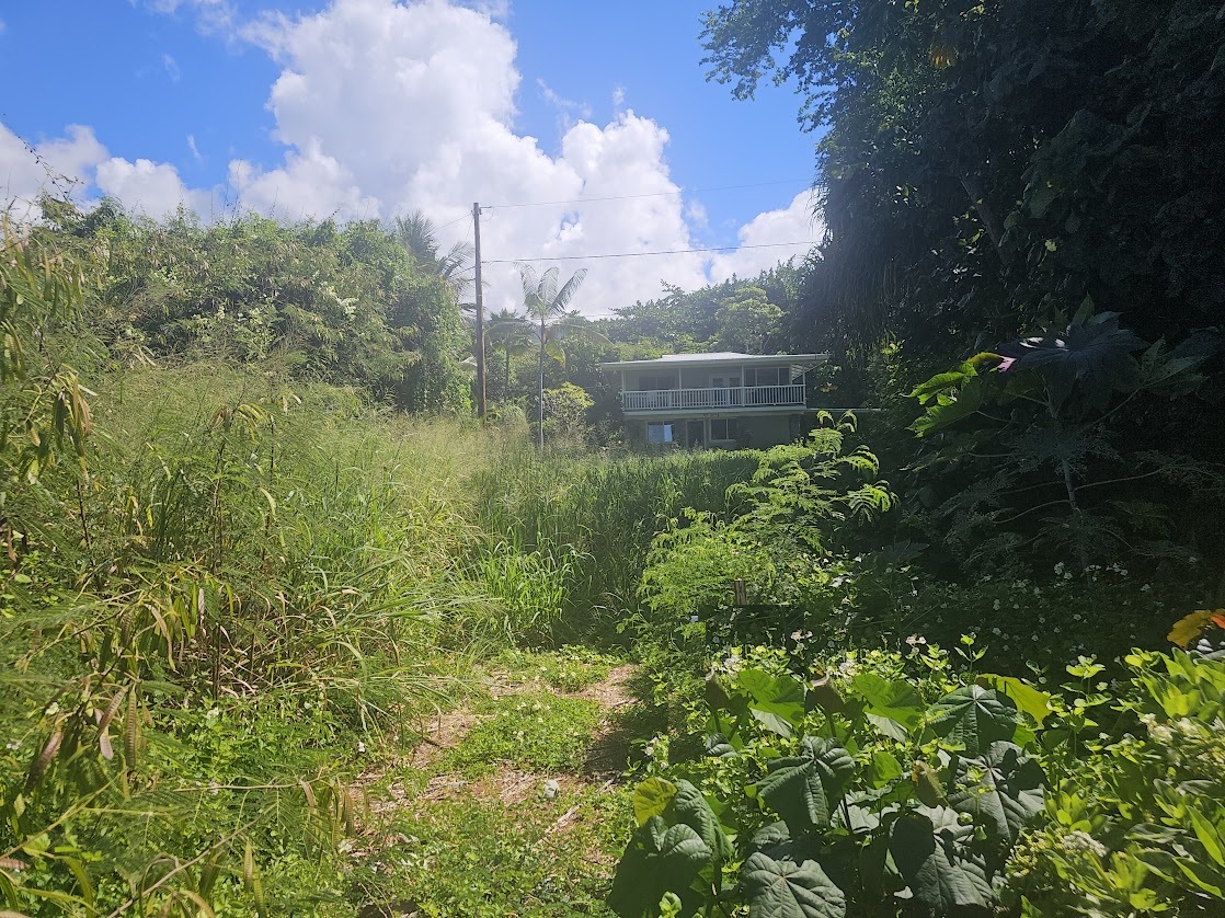 Kahauloa Rd Property Photo 3