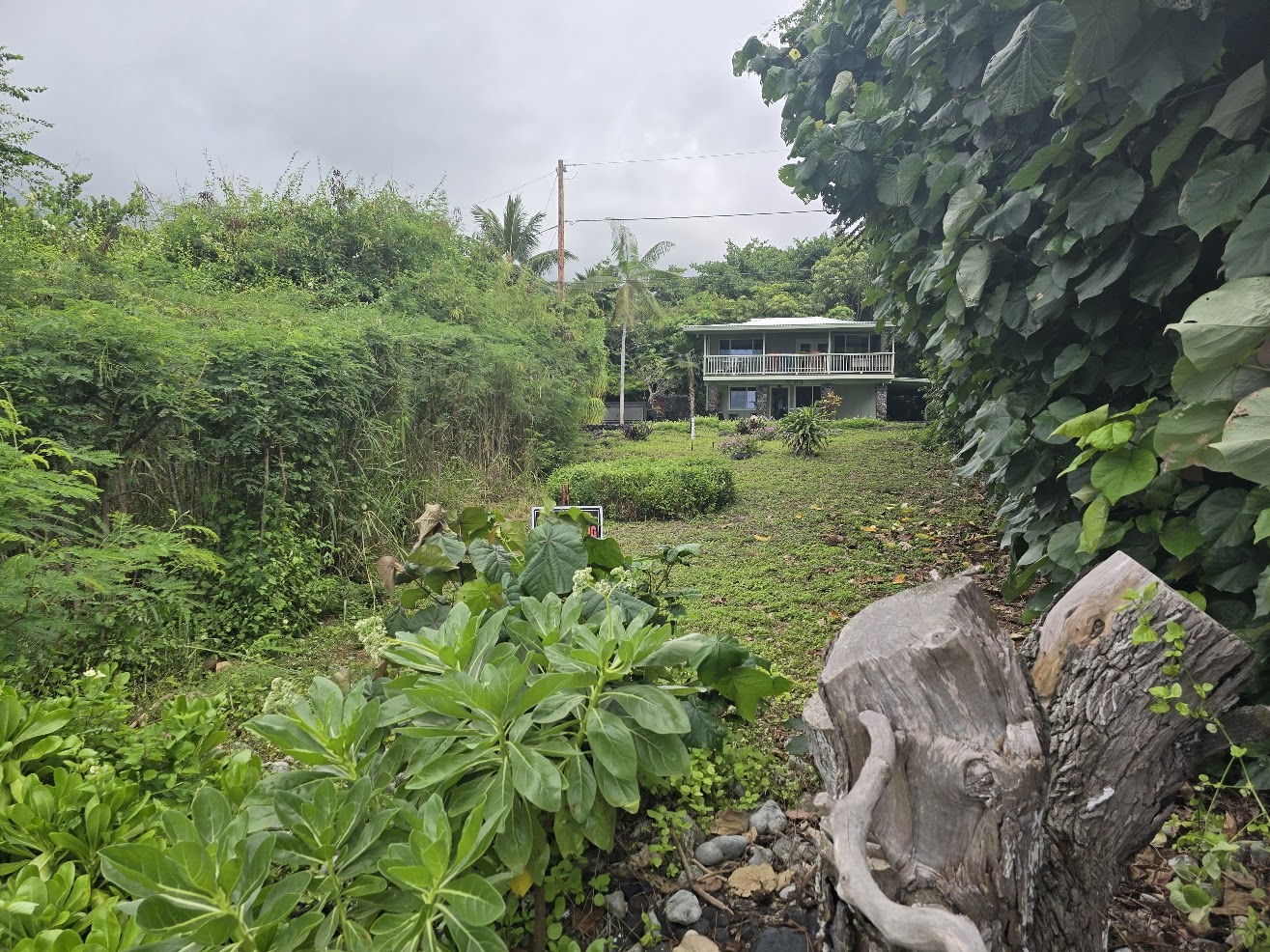Kahauloa Rd Property Photo 6