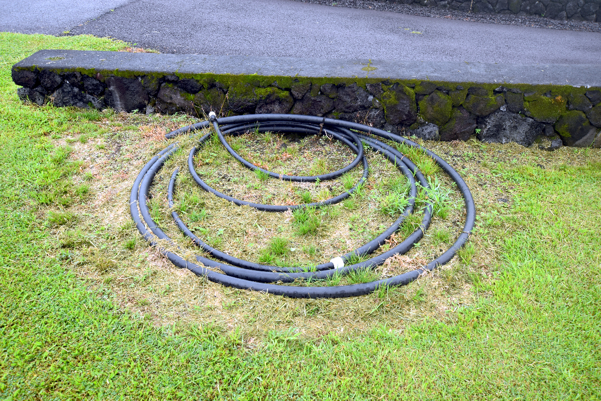 Nohea St Property Photo 19