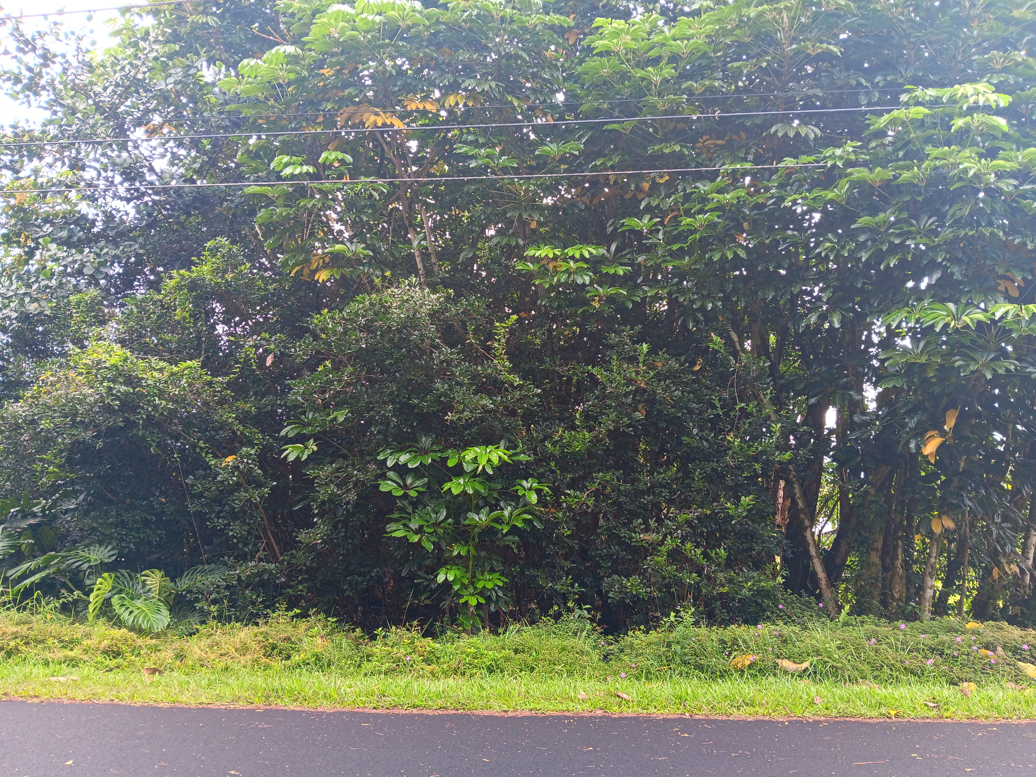 Kumakahi St Property Photo 1