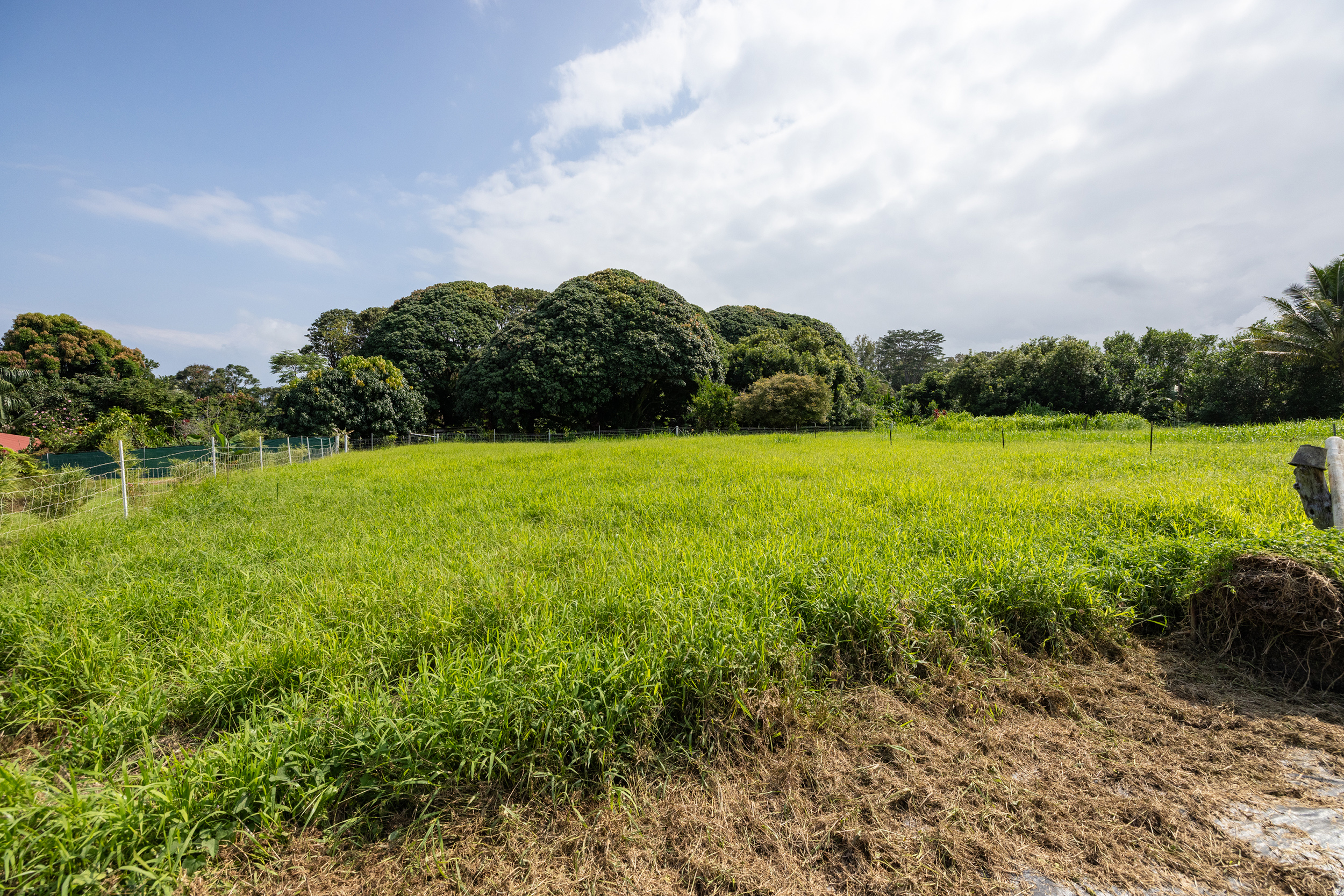 Old Mamalahoa Highway Property Photo 8