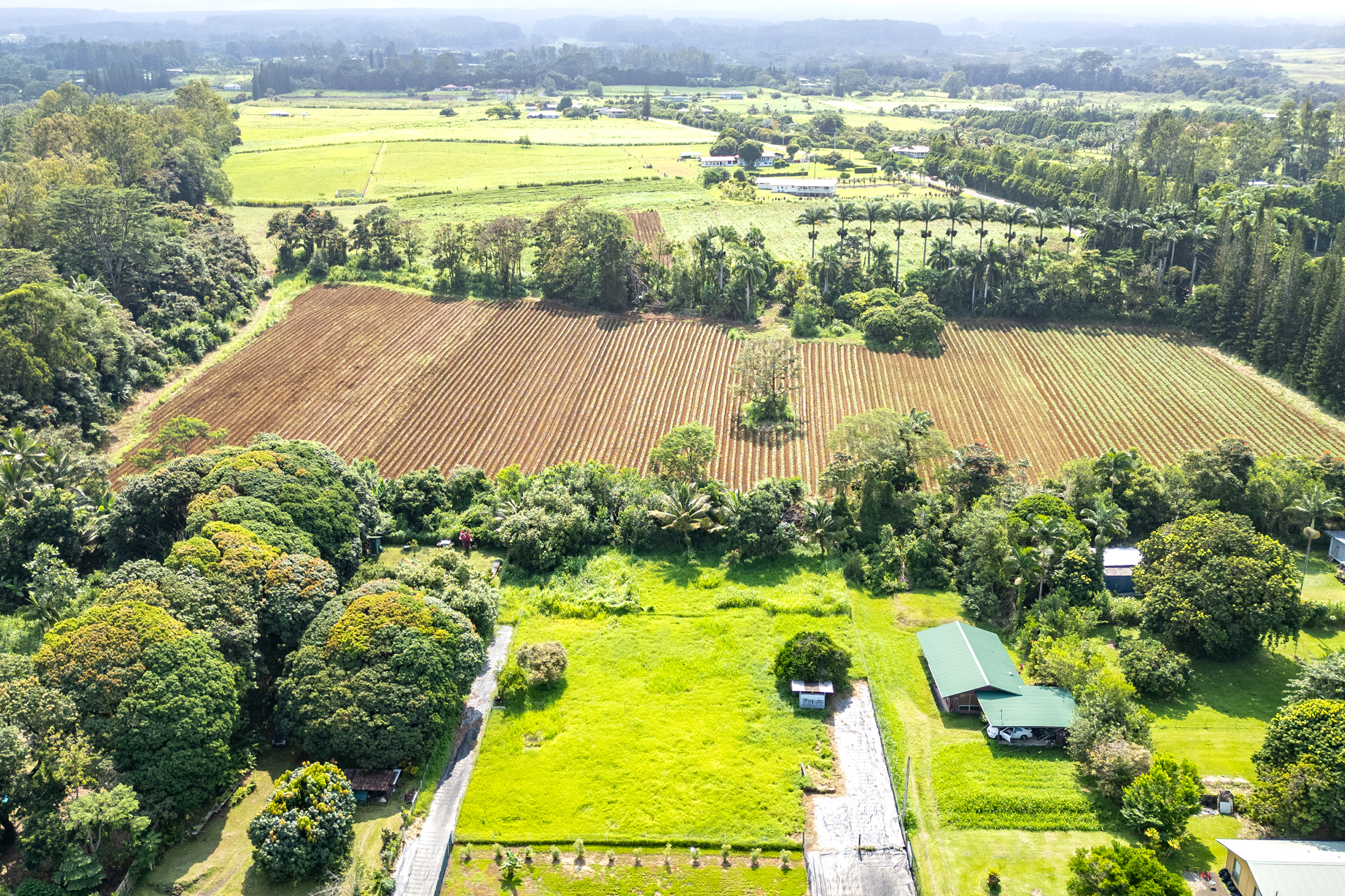 Old Mamalahoa Highway Property Photo 16