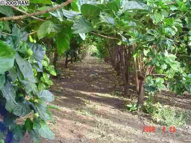733414 Property Photo 10