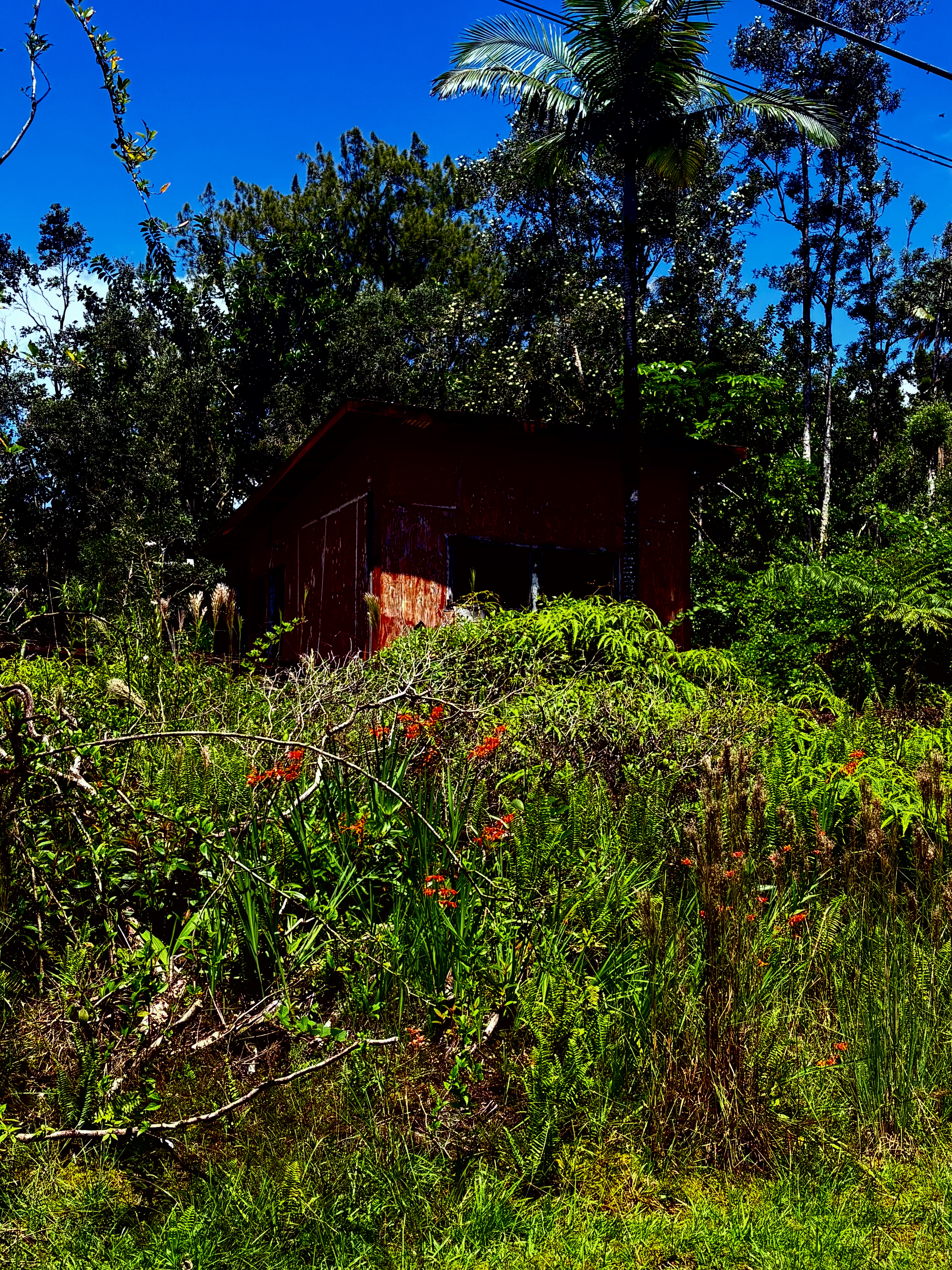 16-2112 Uhini Ana Rd Property Photo 4