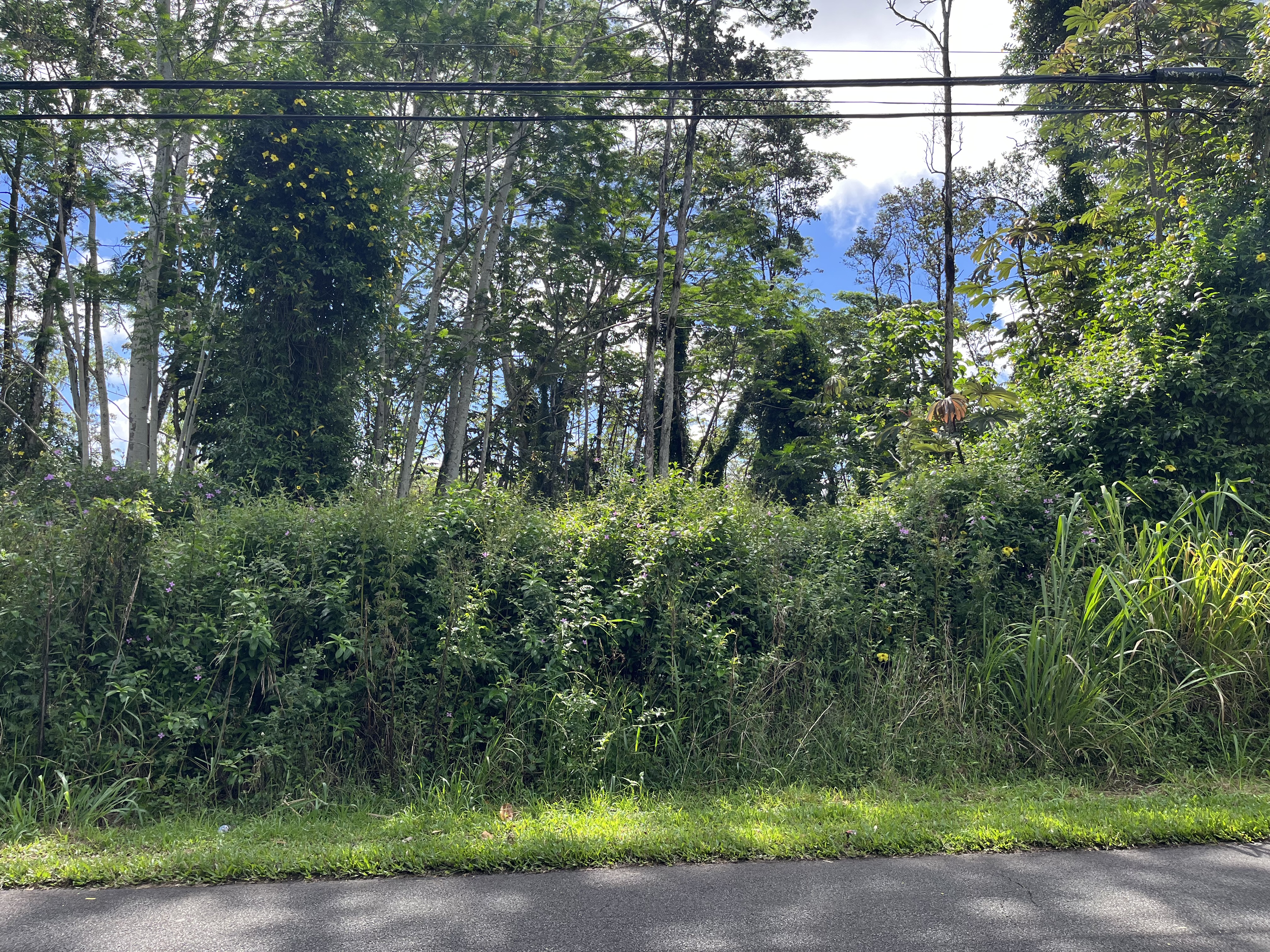 KEHAU RD Property Photo 1