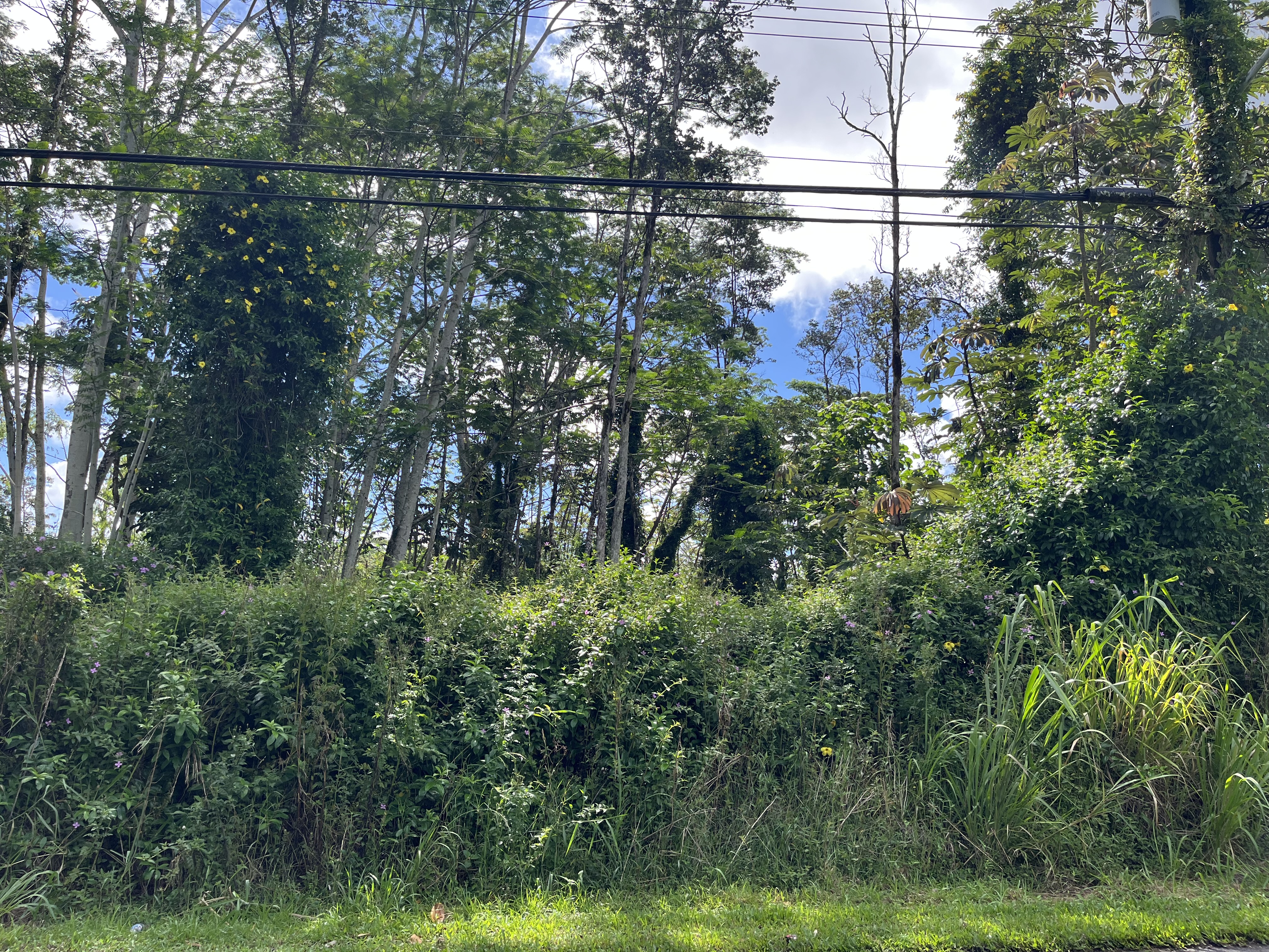 Kehau Rd Property Photo 3