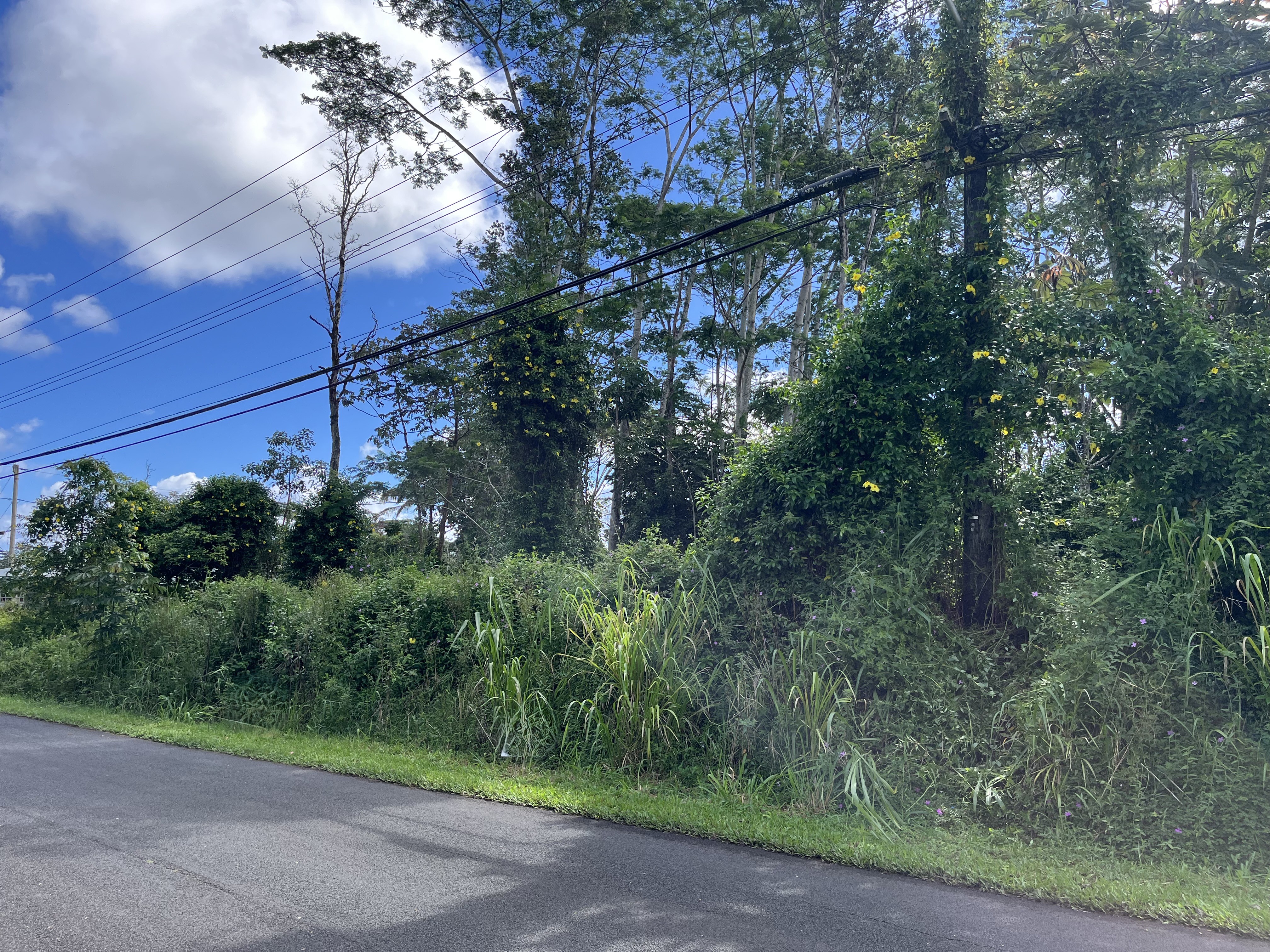 Kehau Rd Property Photo 5