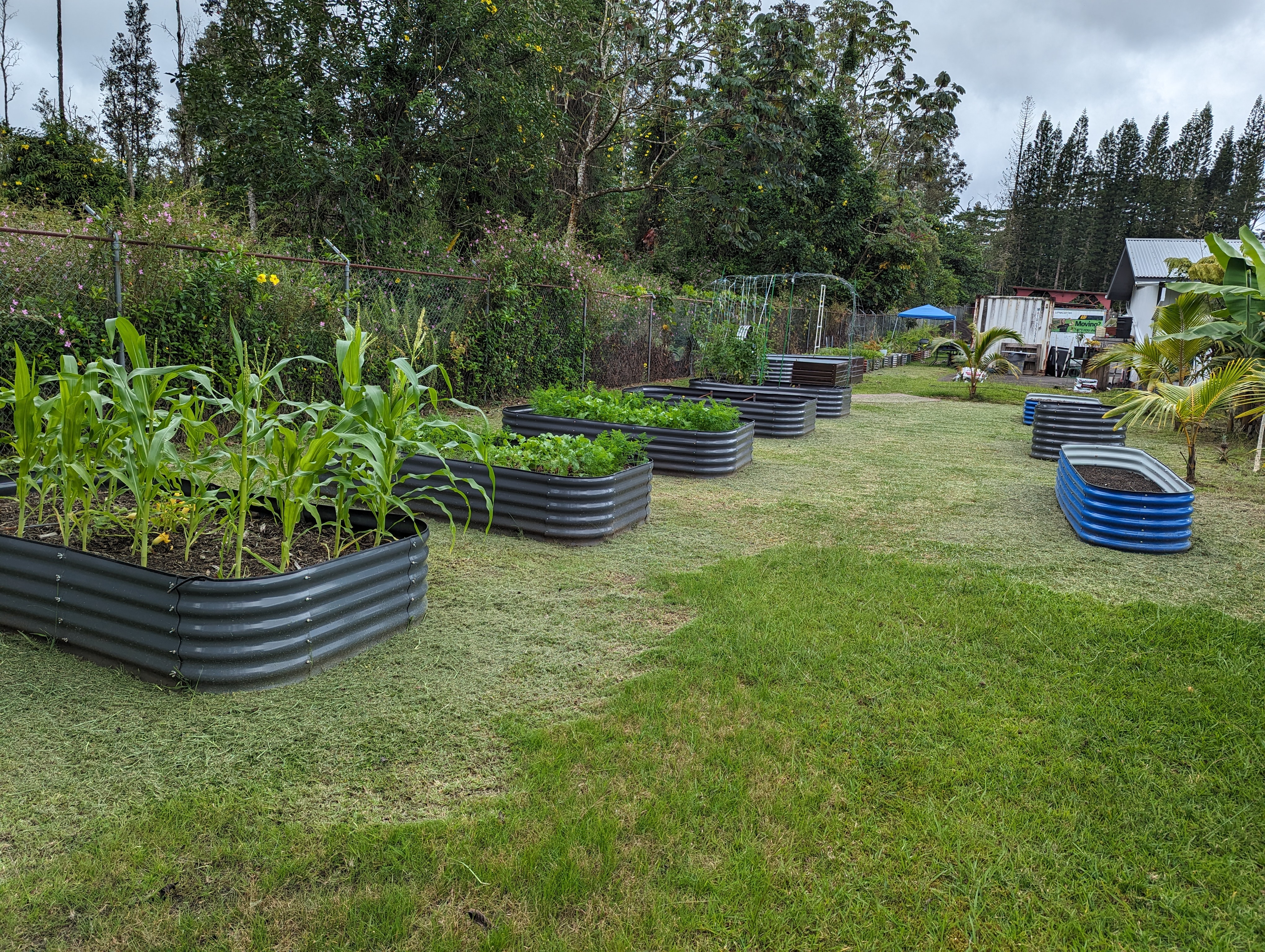 Kehau Rd Property Photo 8