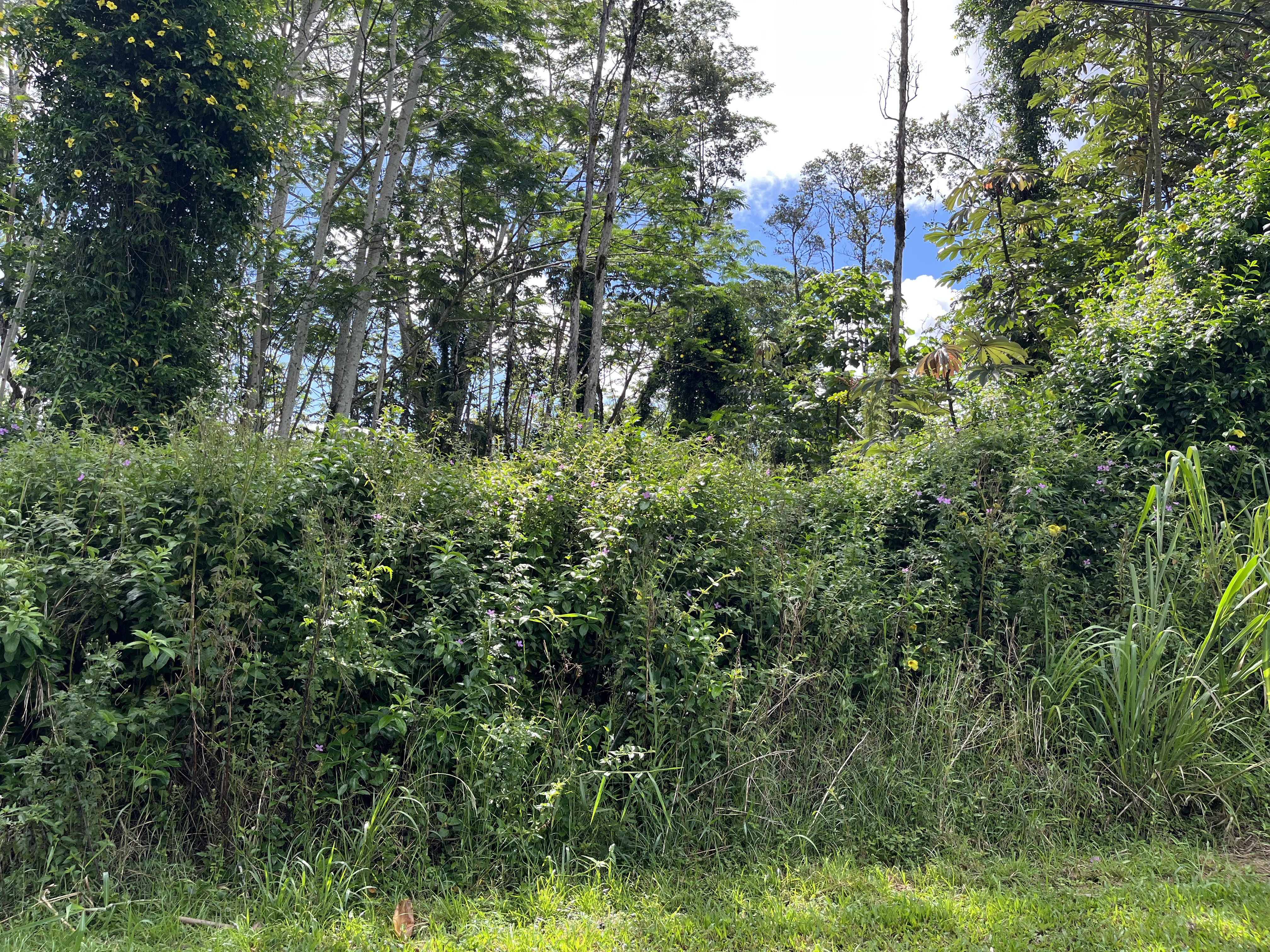 Kehau Rd Property Photo 10