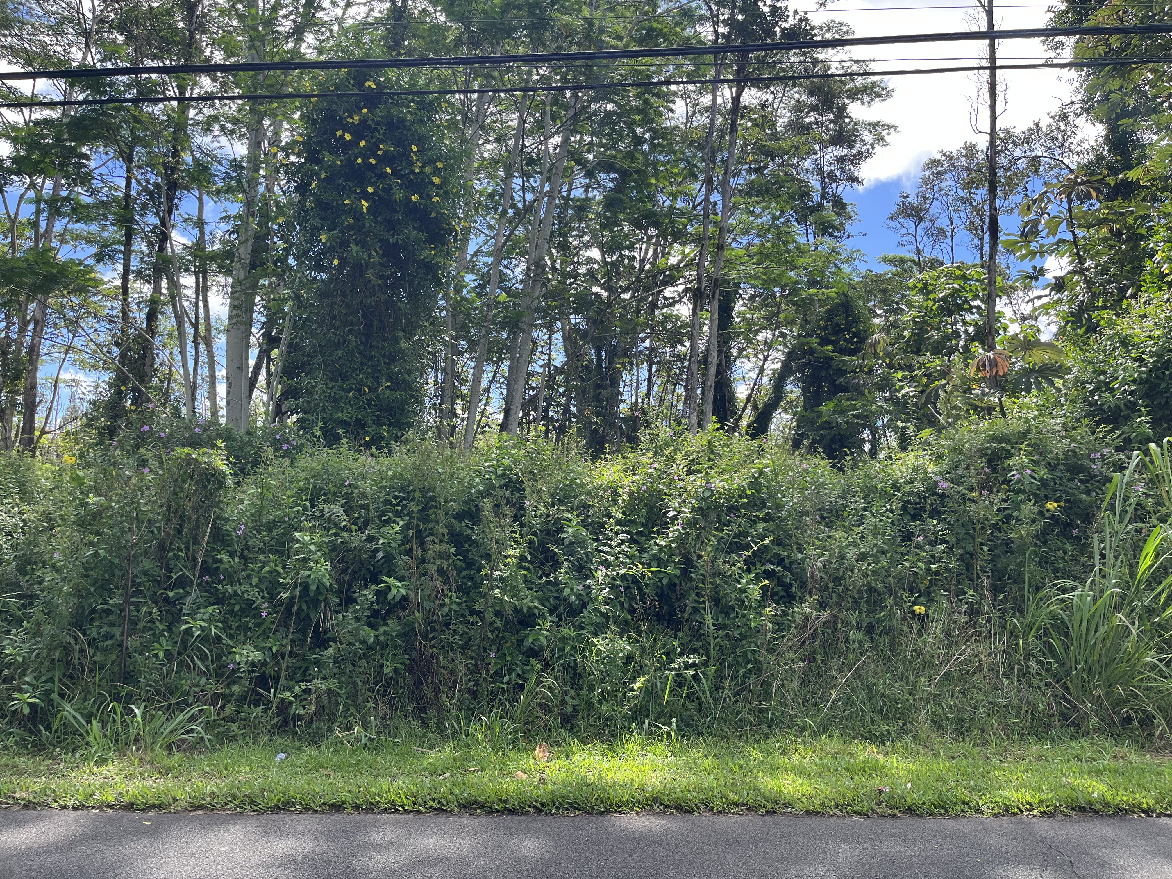 Kehau Rd Property Photo 11