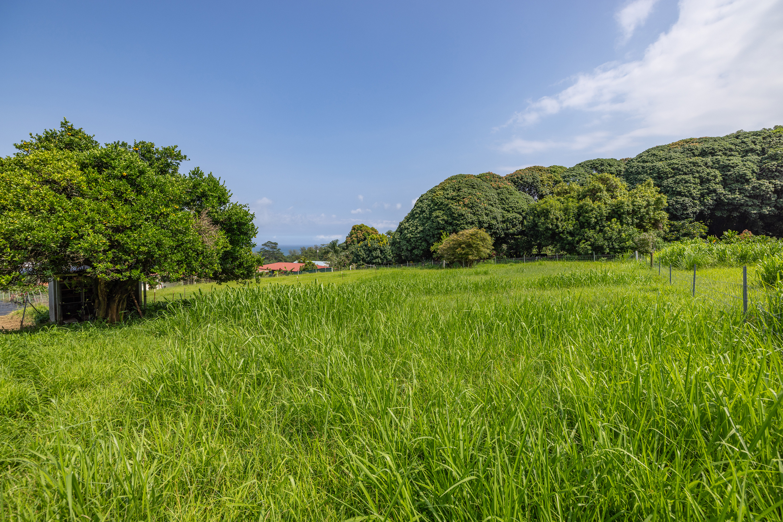 Old Mamalahoa Highway Property Photo 1