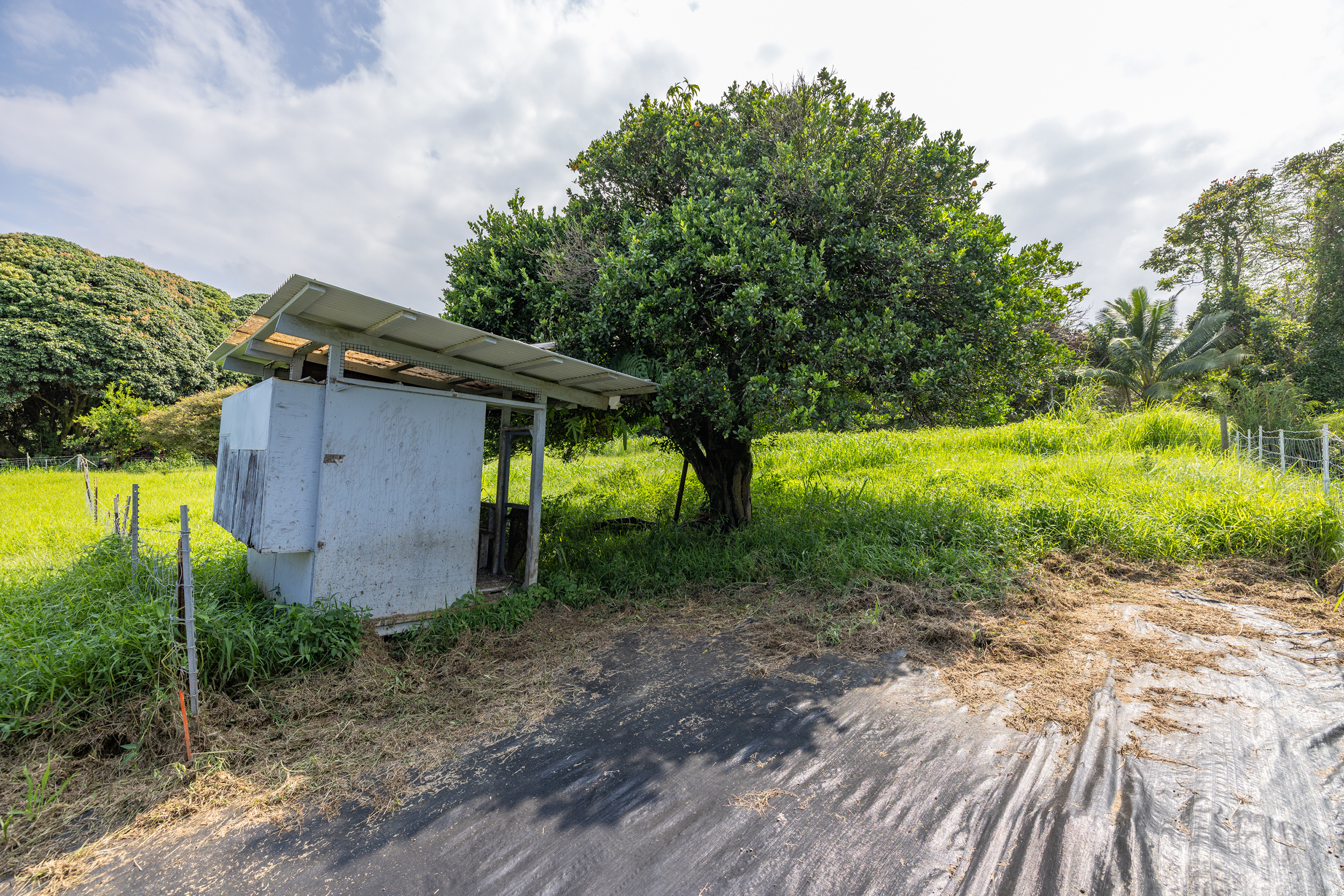 Old Mamalahoa Highway Property Photo 2