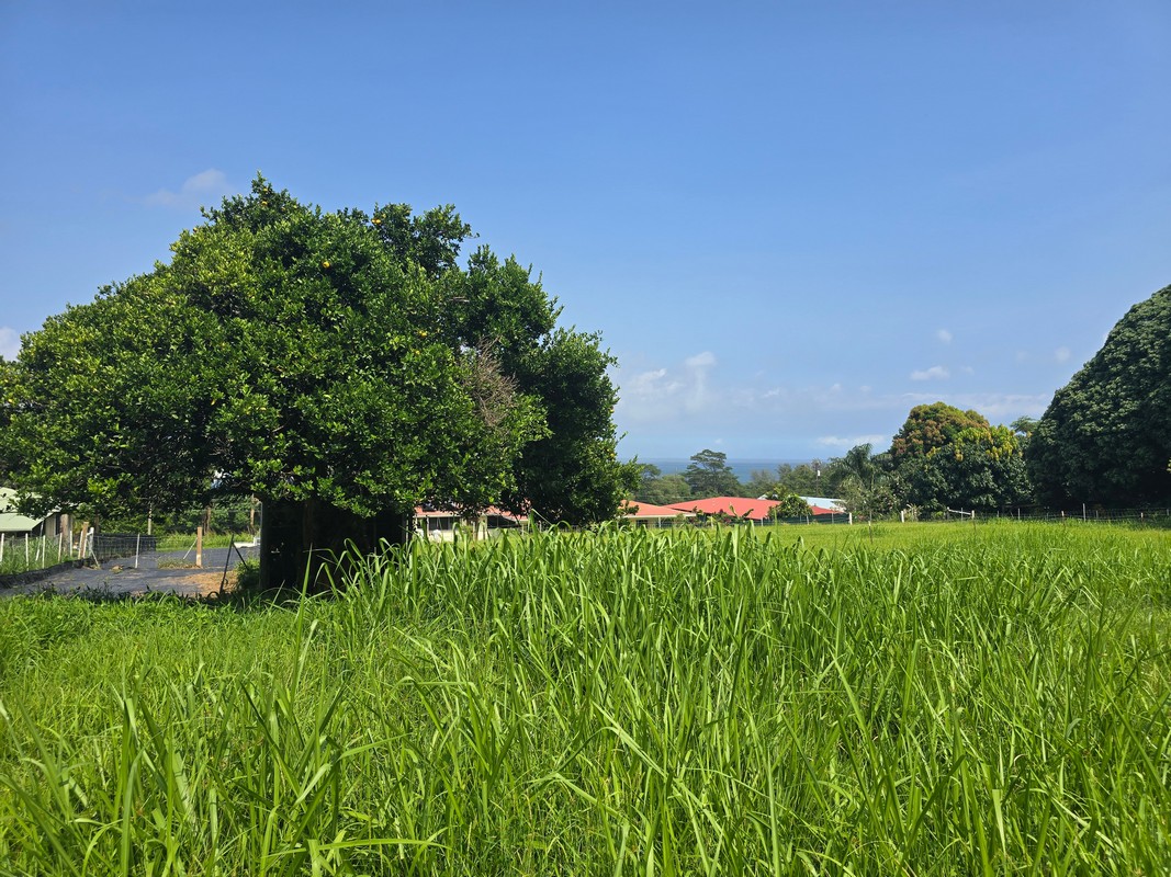 Old Mamalahoa Highway Property Photo 3