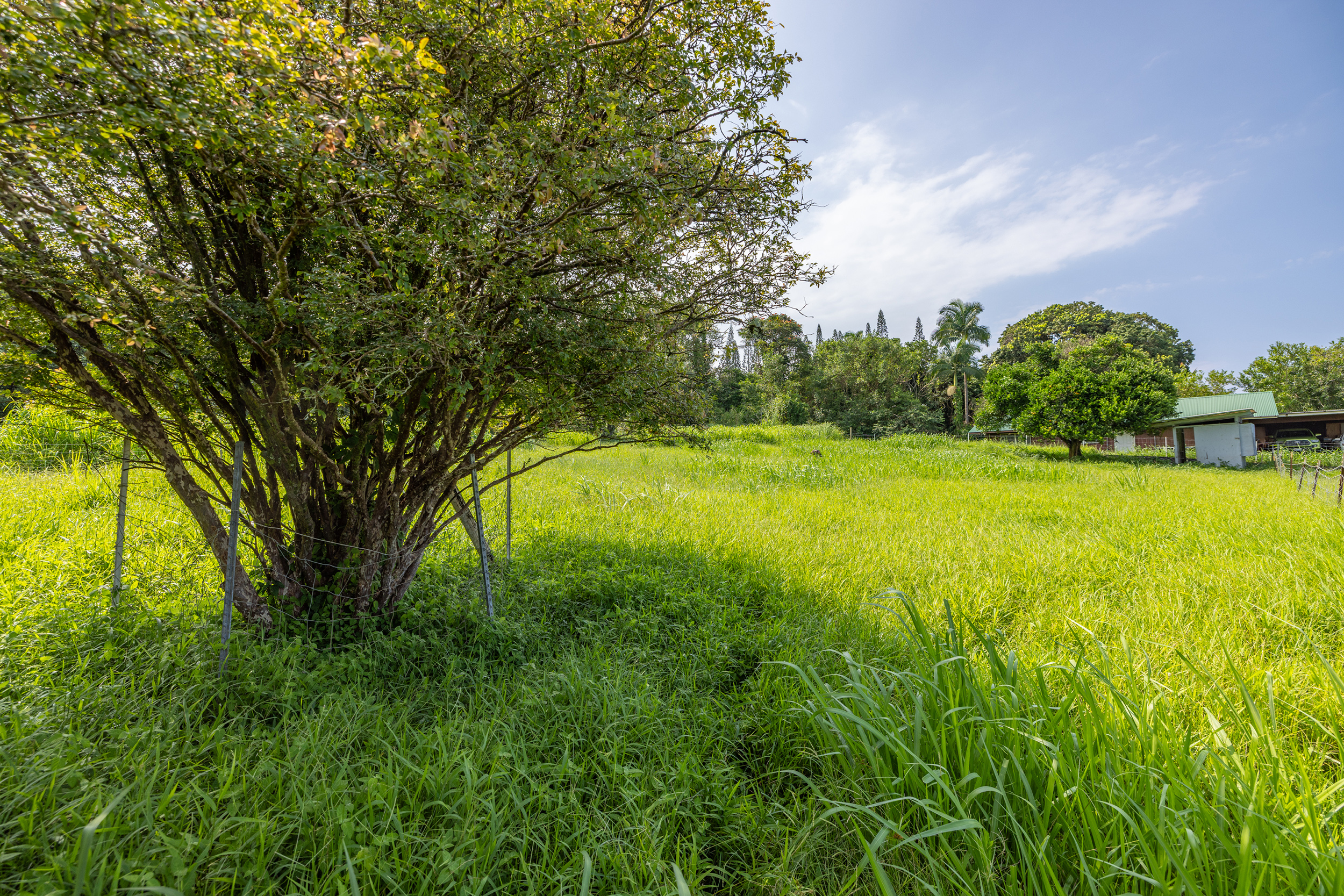 Old Mamalahoa Highway Property Photo 8