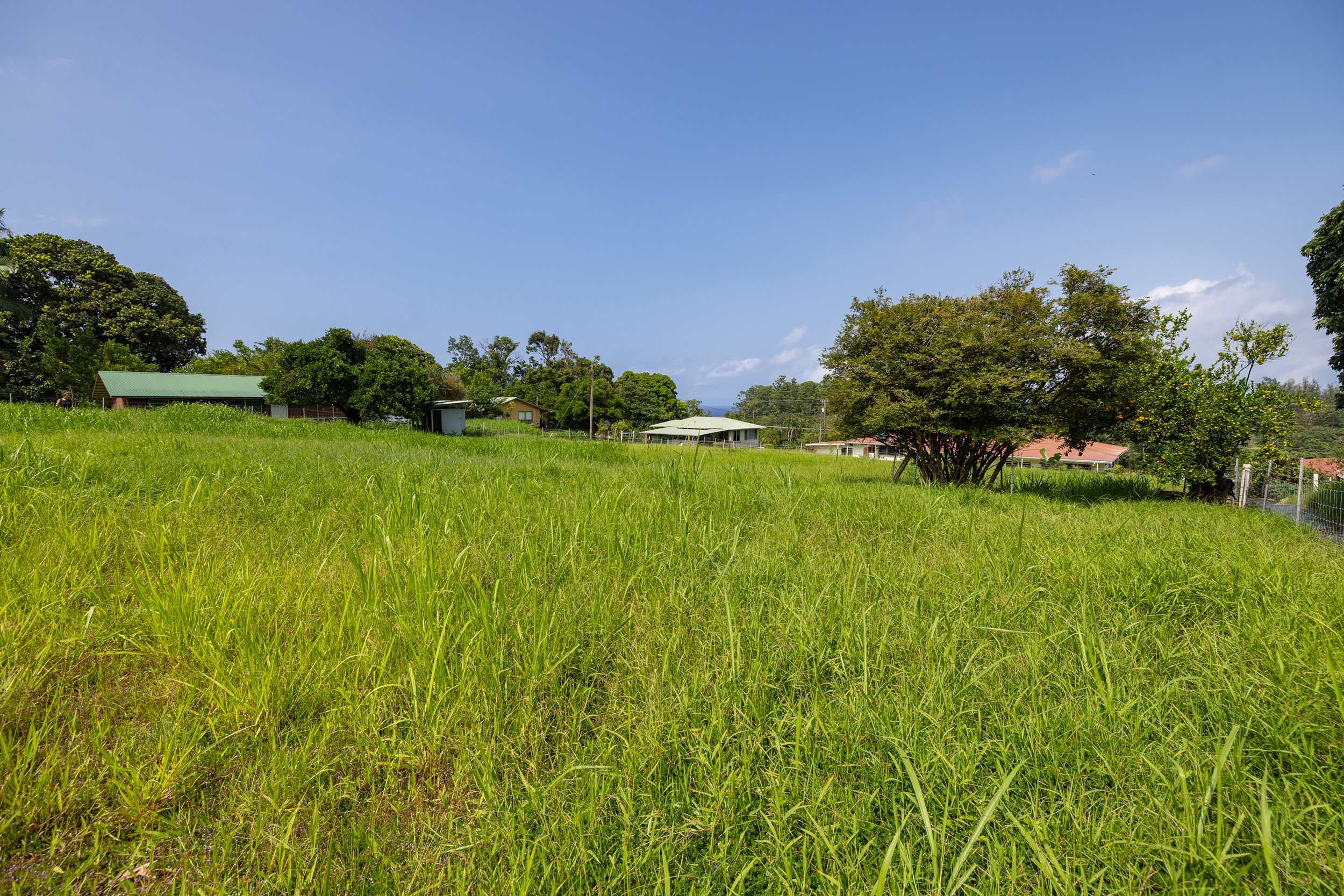 Old Mamalahoa Highway Property Photo 13