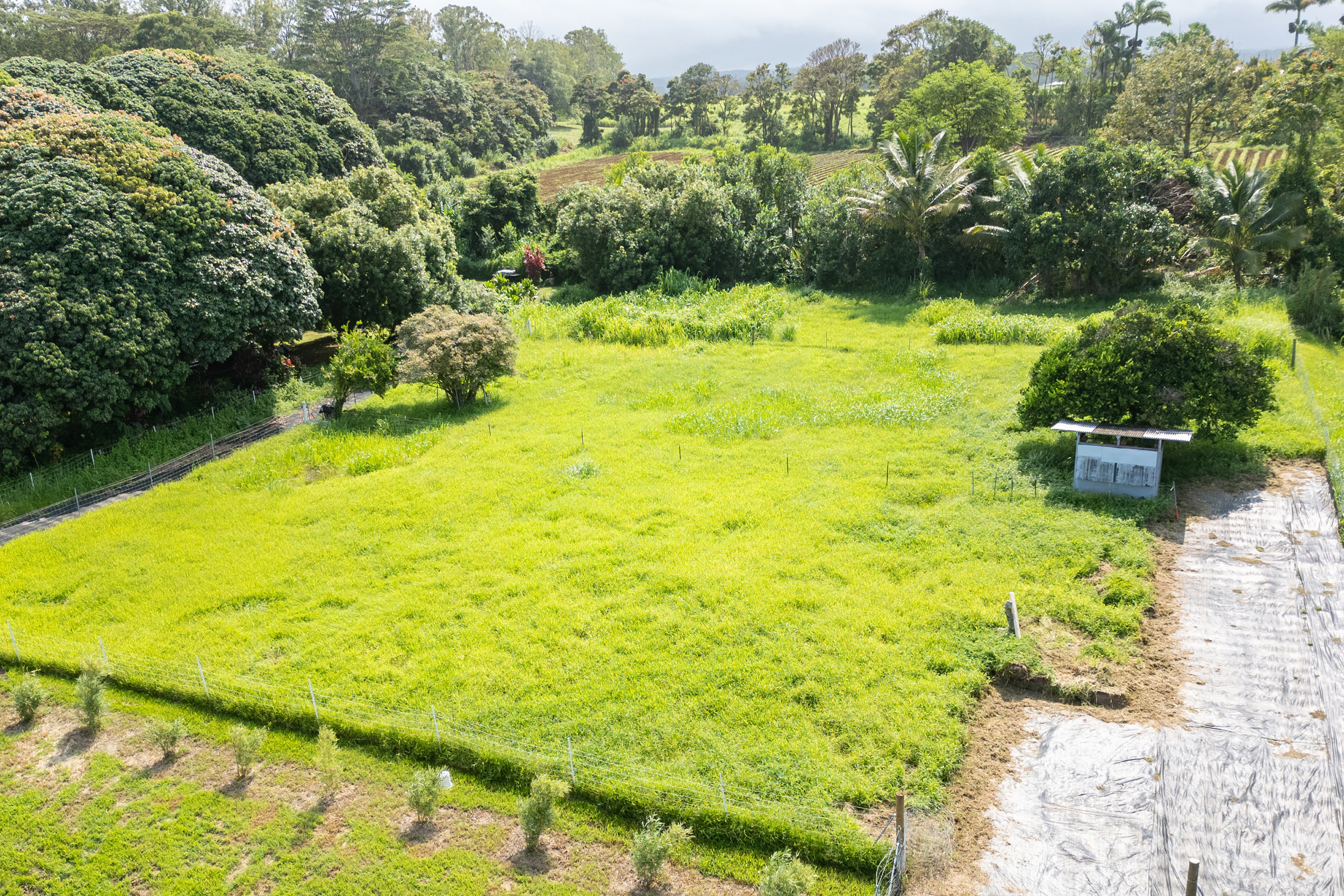 Old Mamalahoa Highway Property Photo 17