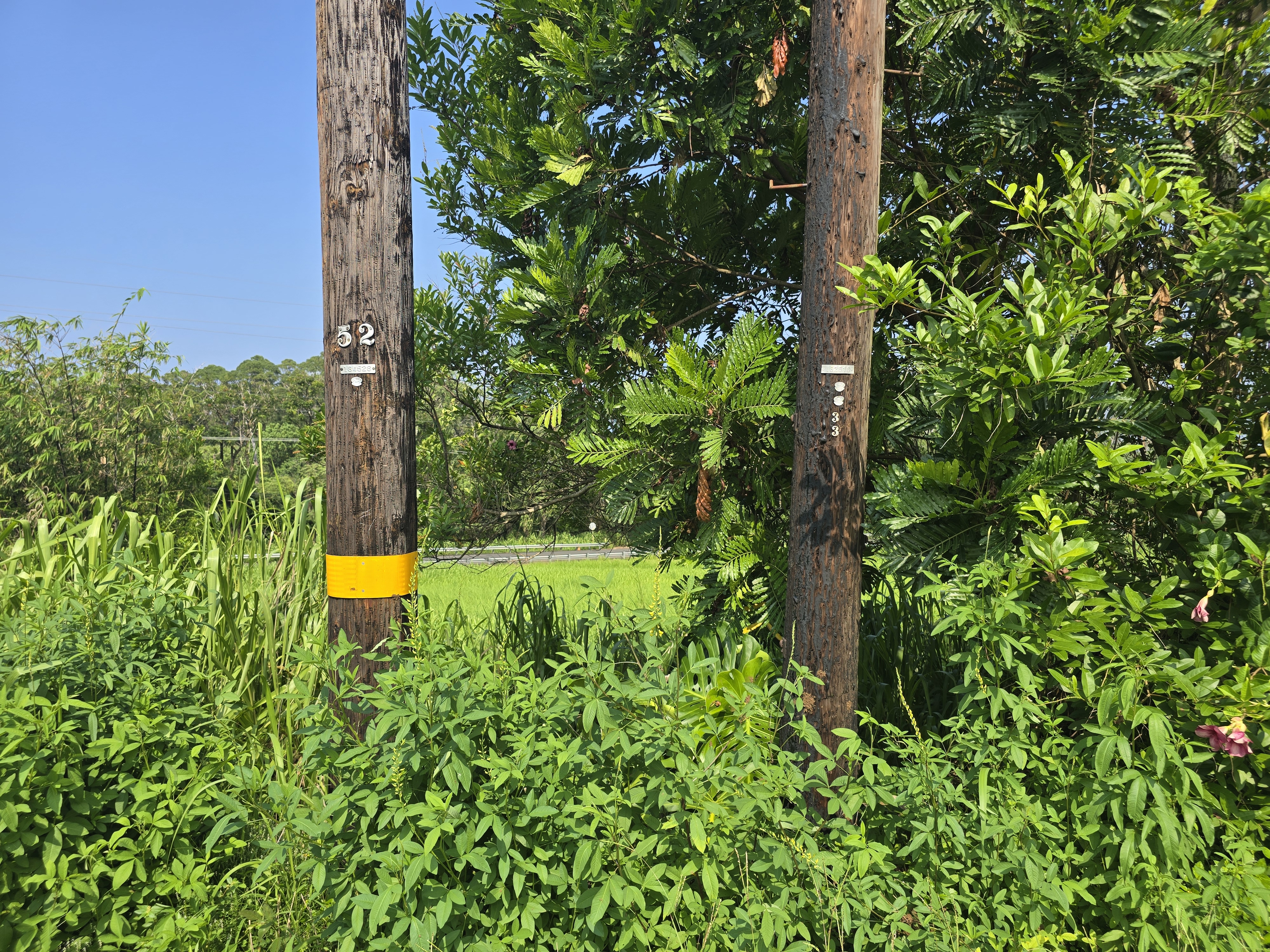 Old Mamalahoa Highway Property Photo 22