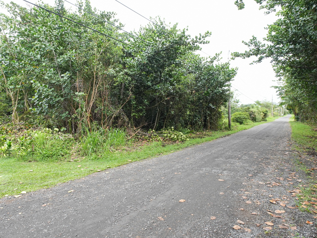 Amau Rd Property Photo 3