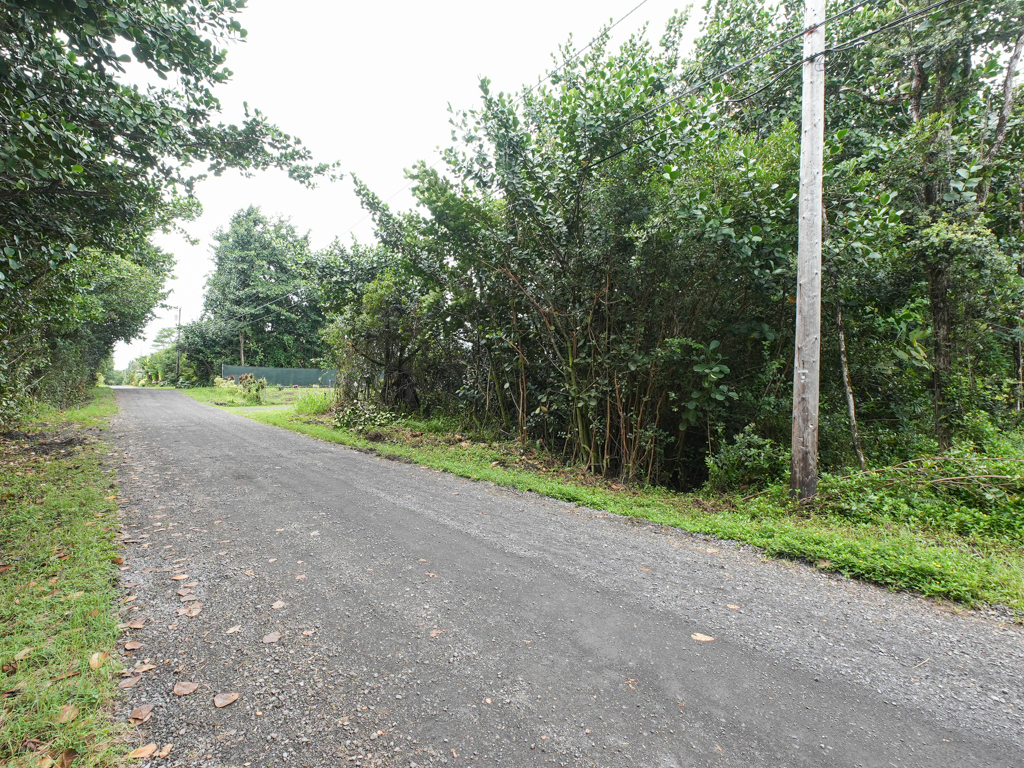 Amau Rd Property Photo 4