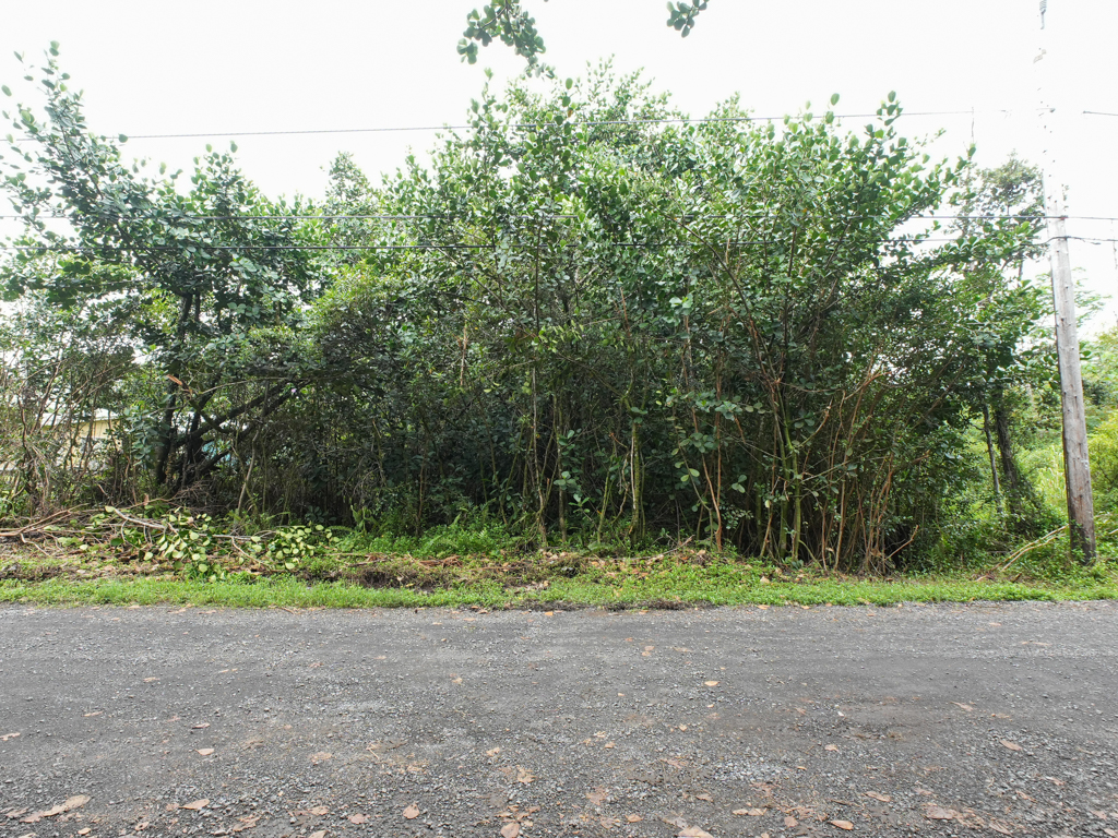 Amau Rd Property Photo 5