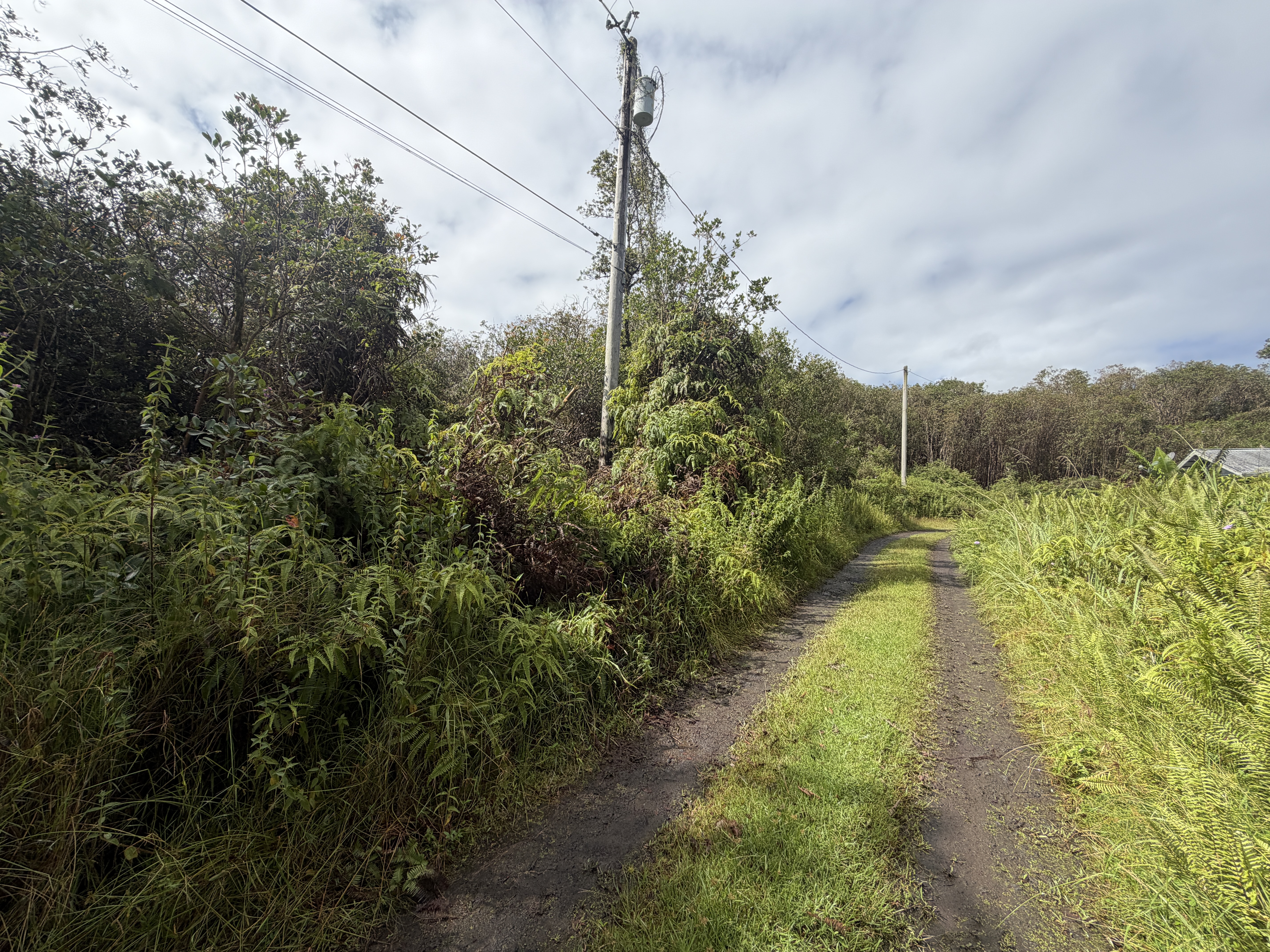 Forest Pl Property Photo 1