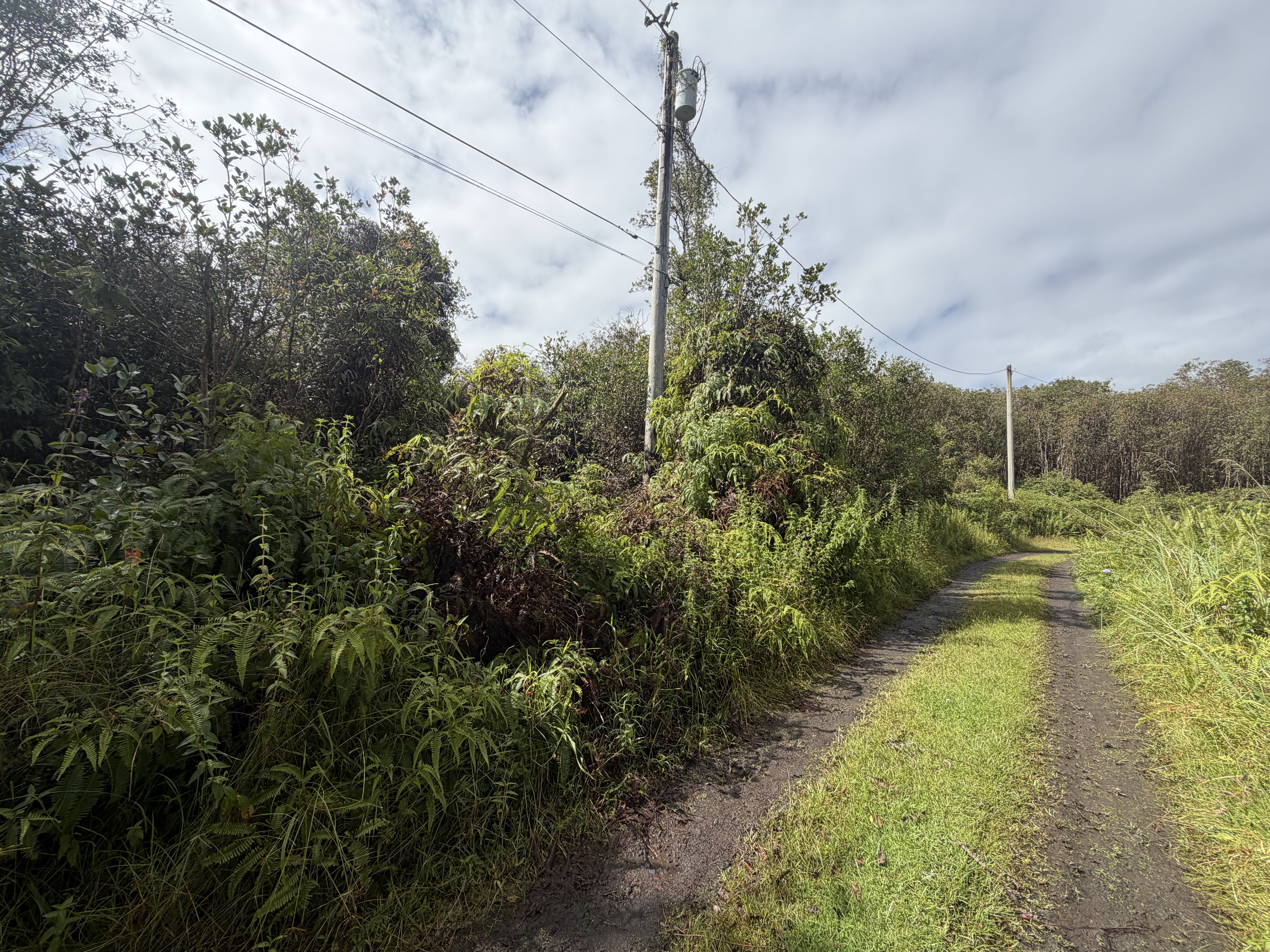 Forest Pl Property Photo 2
