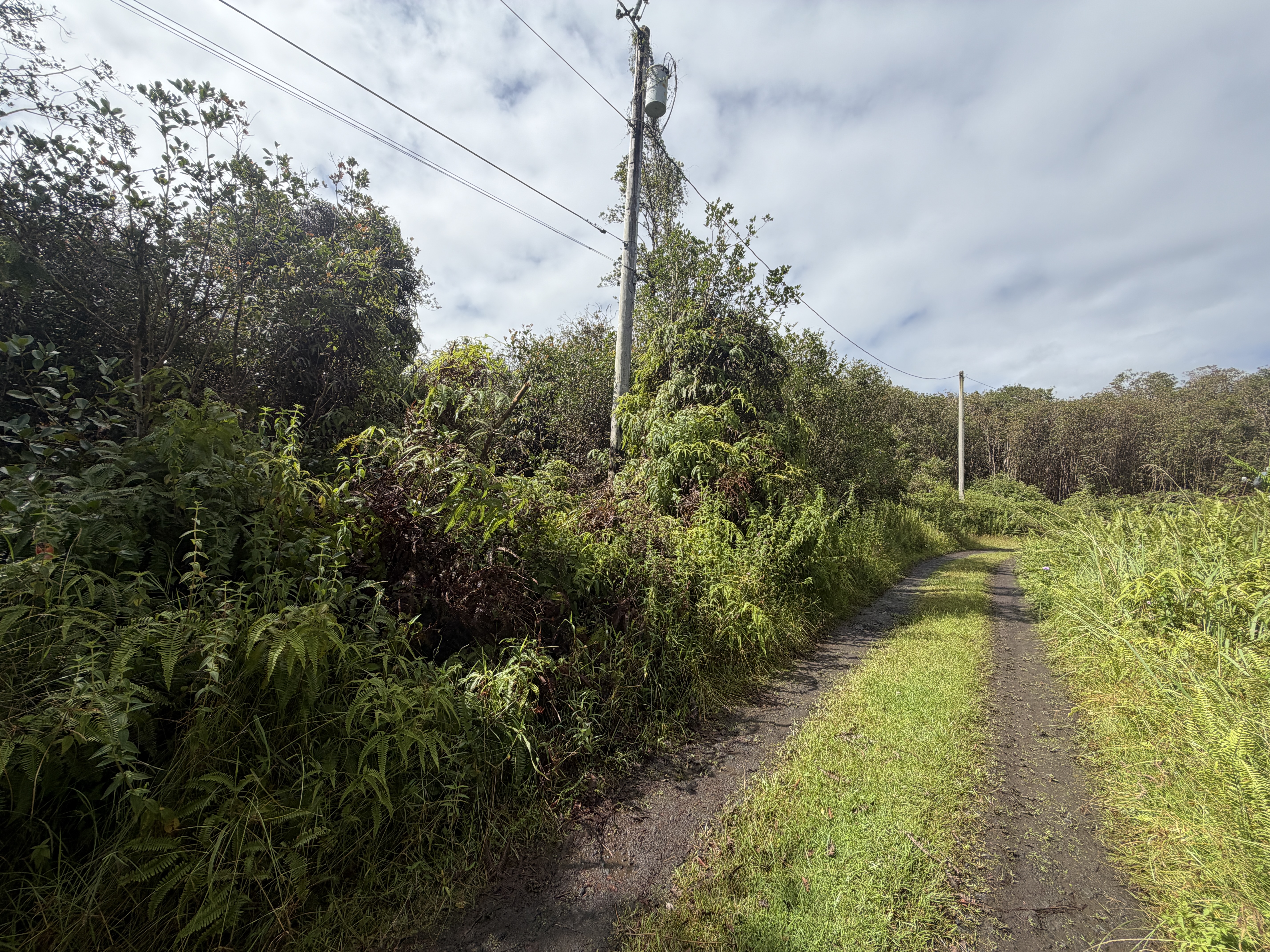 Forest Pl Property Photo 3