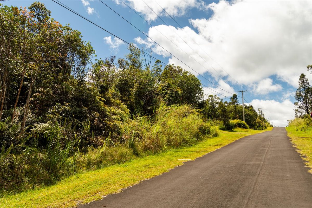 Anthurium St Property Photo 2