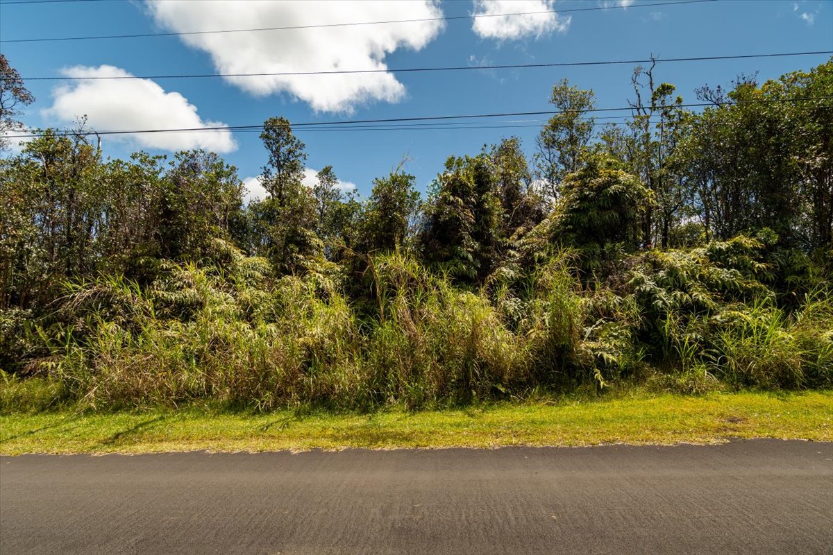 Anthurium St Property Photo 3
