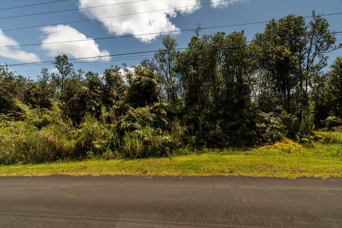 Anthurium St Property Photo 4