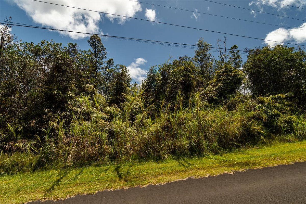 Anthurium St Property Photo 5