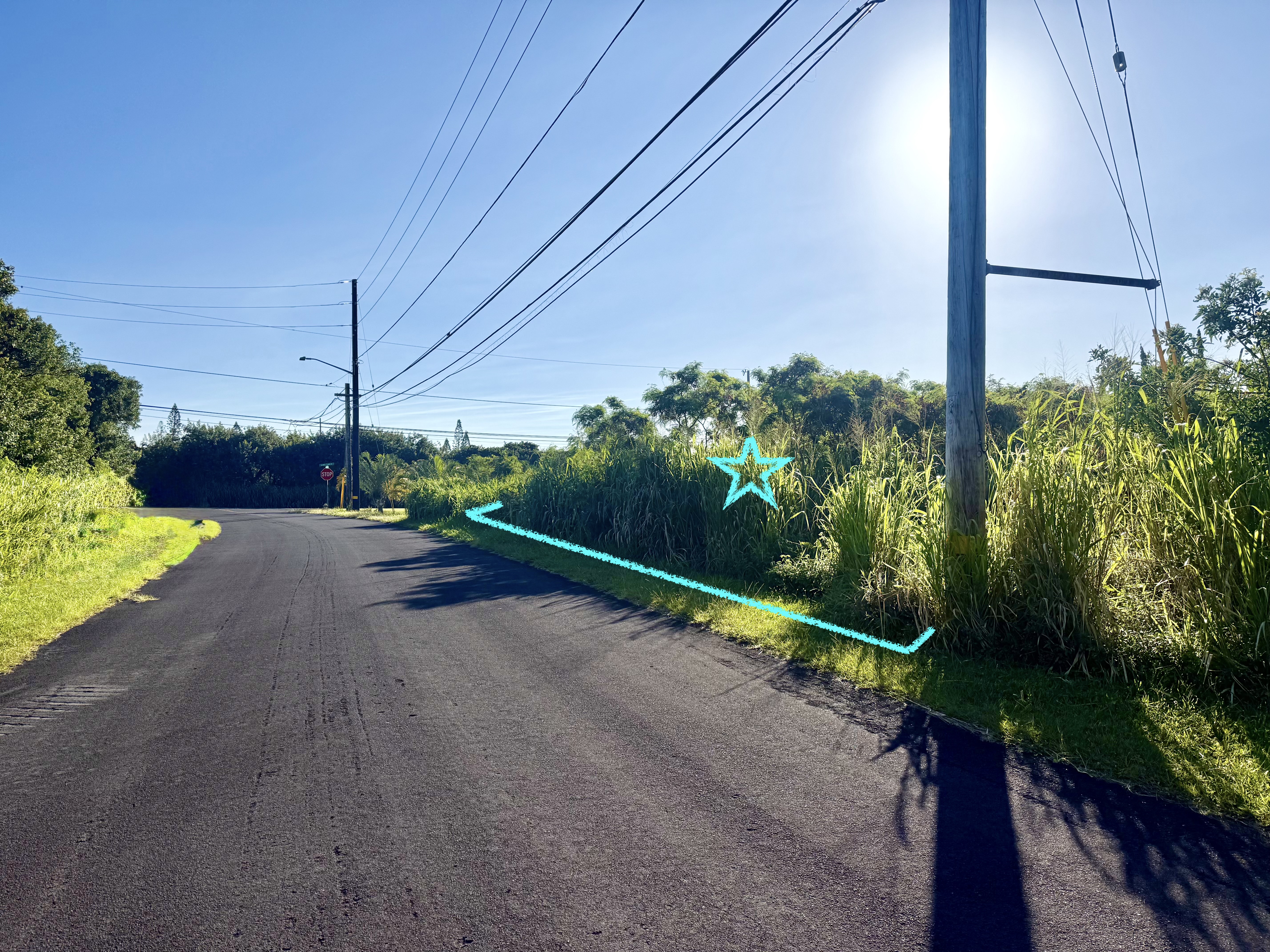 Kalakau St Property Photo 3