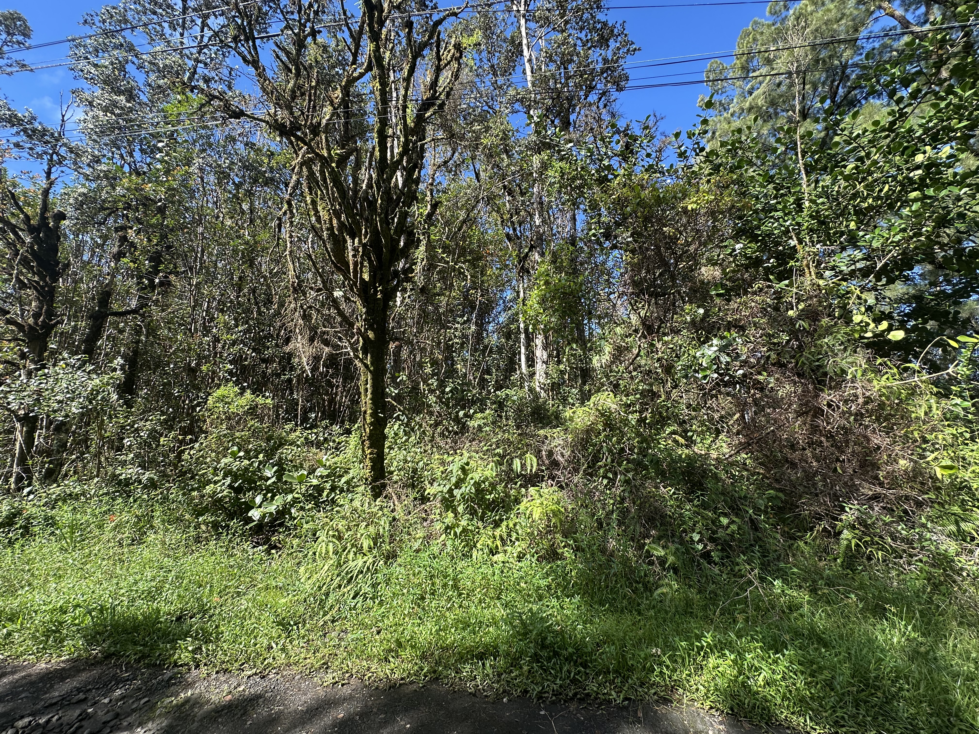 16-1384 Ao Rd Property Photo 3