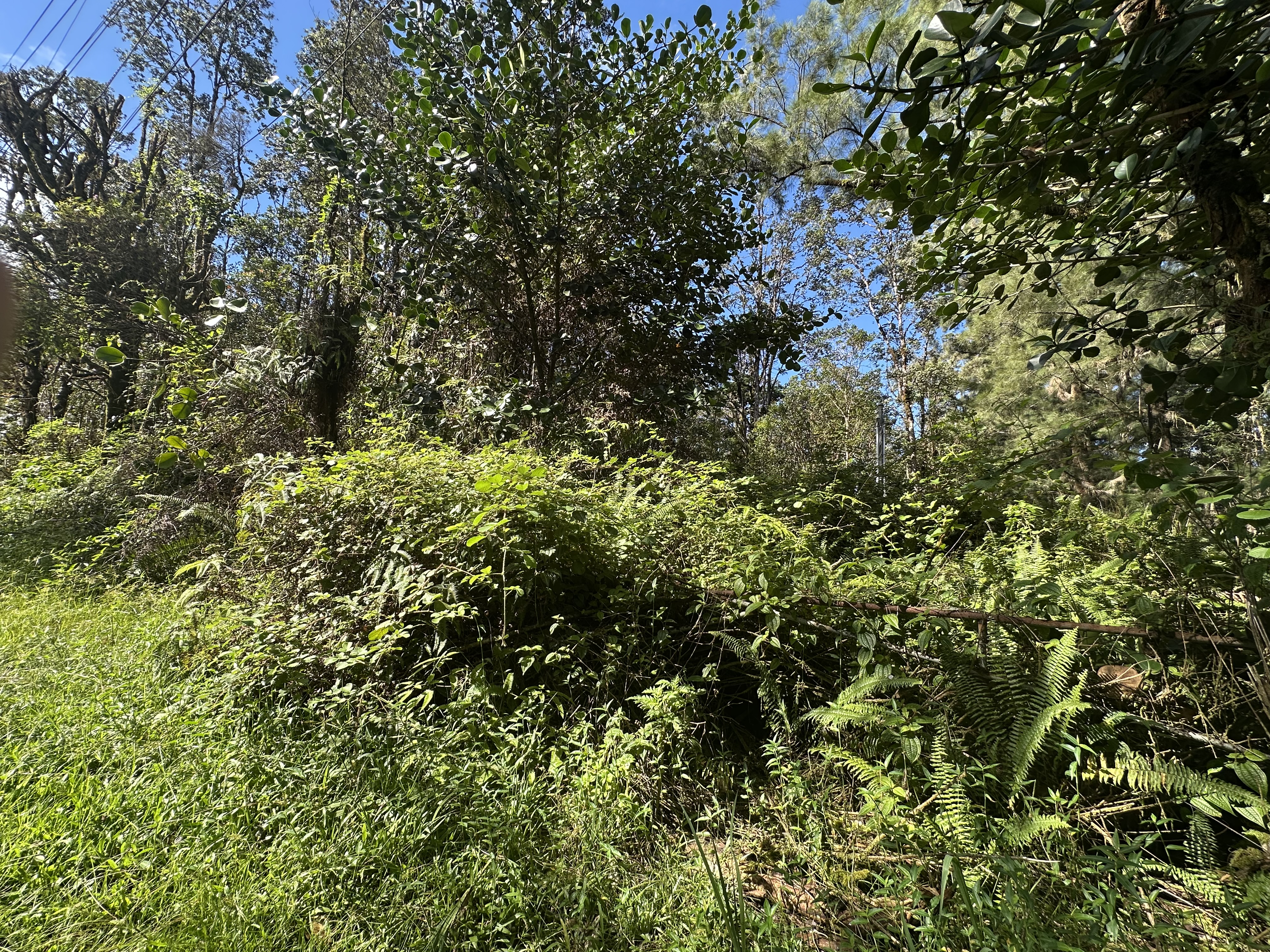 16-1384 Ao Rd Property Photo 5