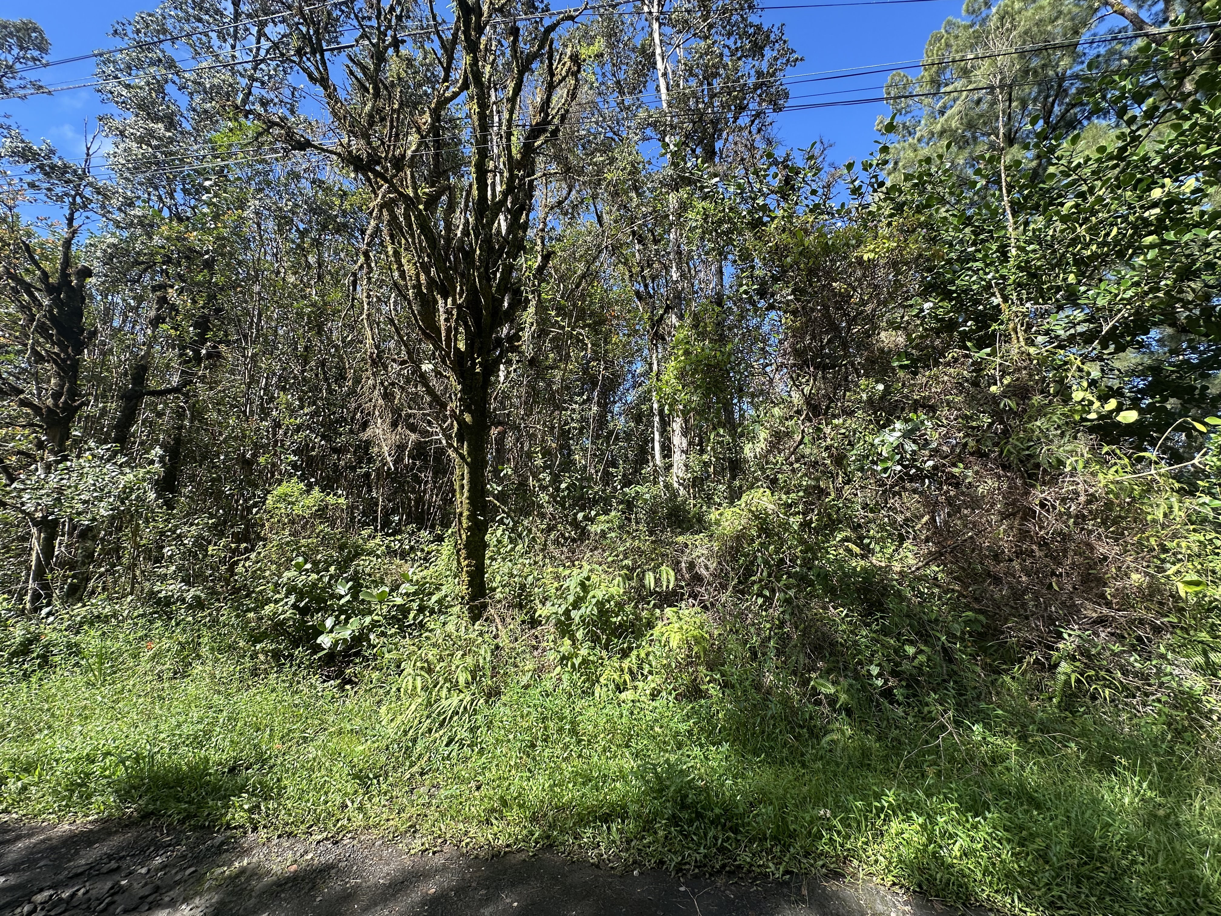 16-1384 Ao Rd Property Photo 10