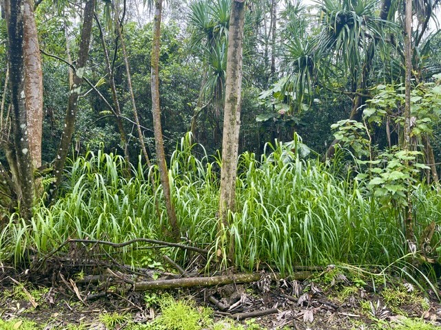 NENUE ST Property Photo 1