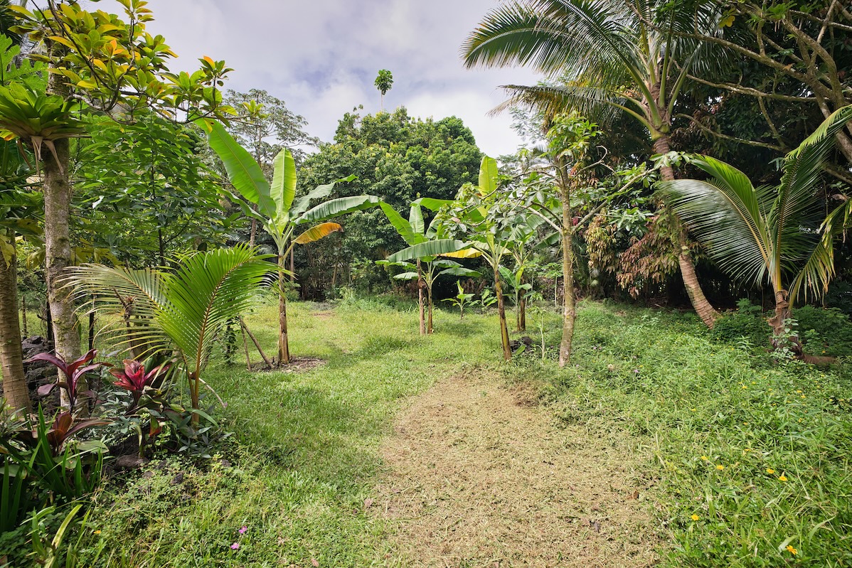14-3298 Pualaa Rd Property Photo 21