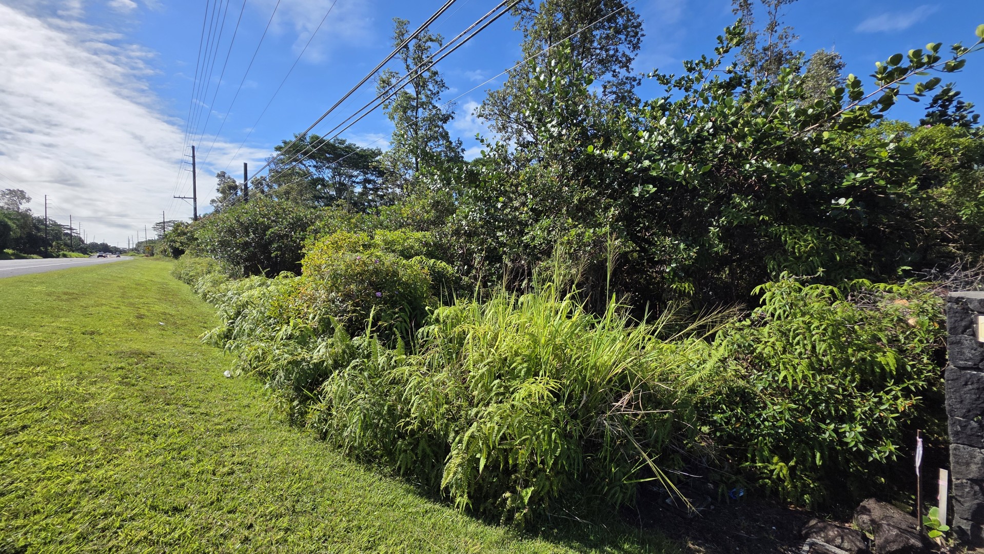 Pahoa Rd Property Photo 4