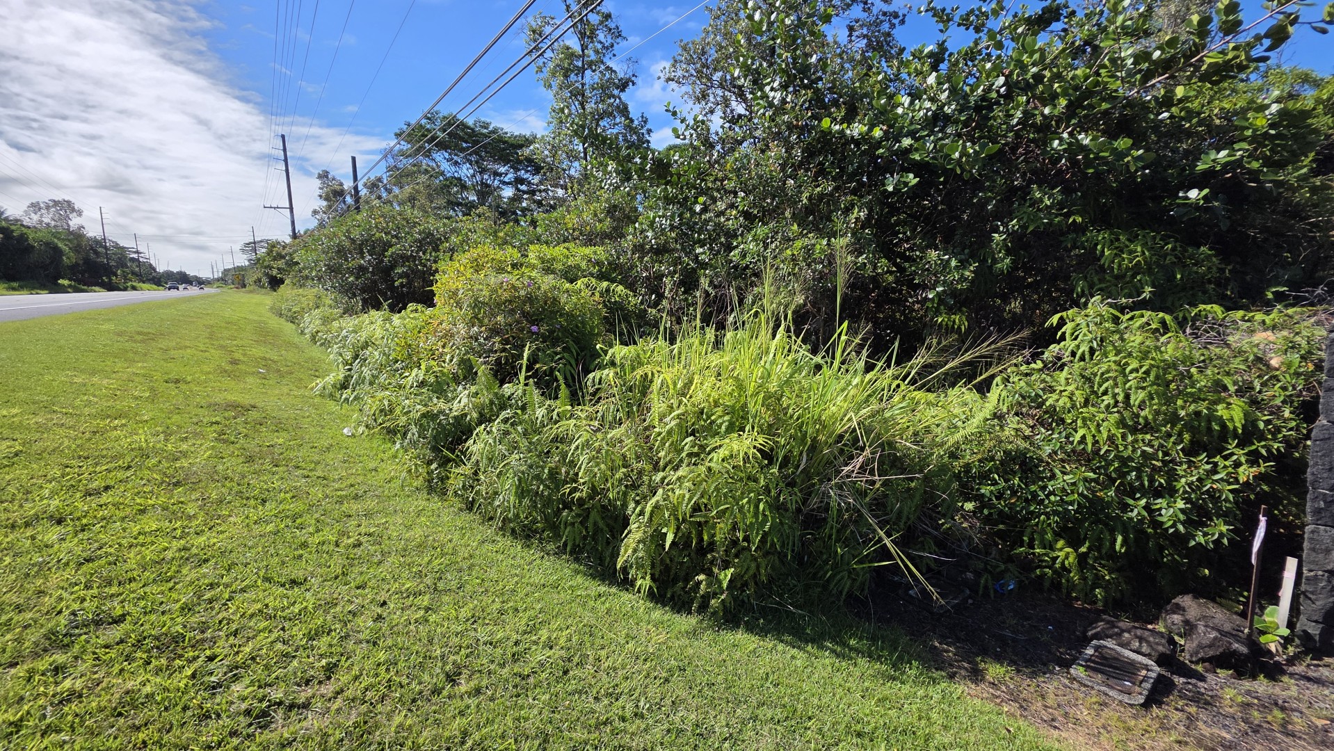 Pahoa Rd Property Photo 7