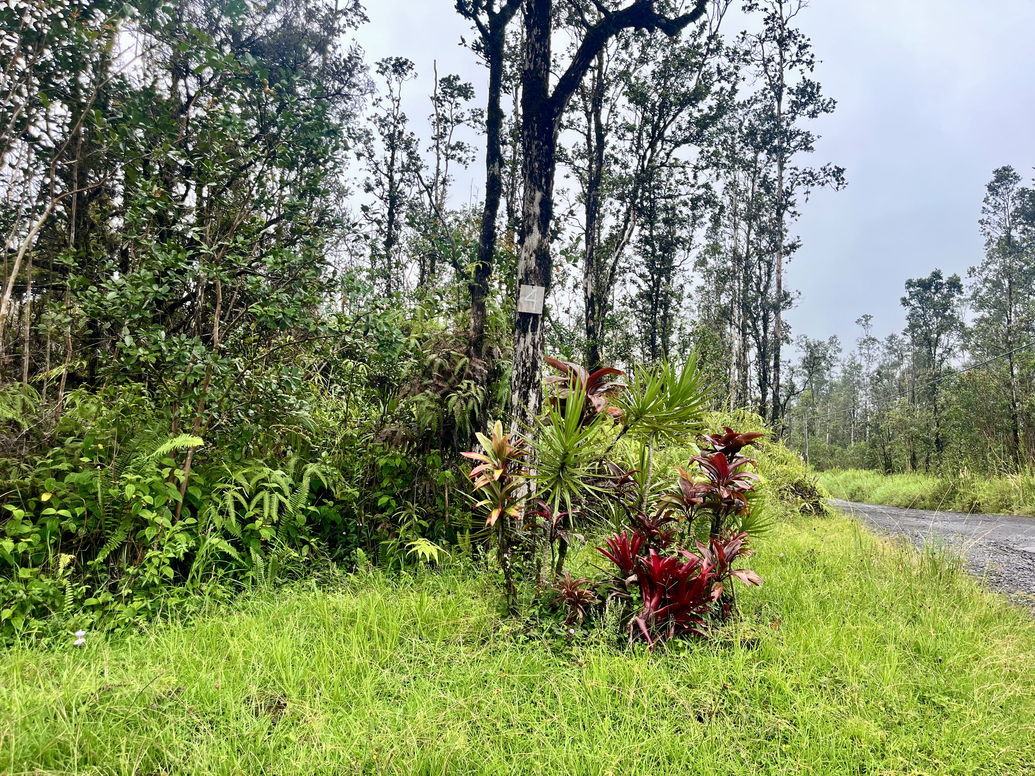 Road 4 (io Kea) Property Photo 1