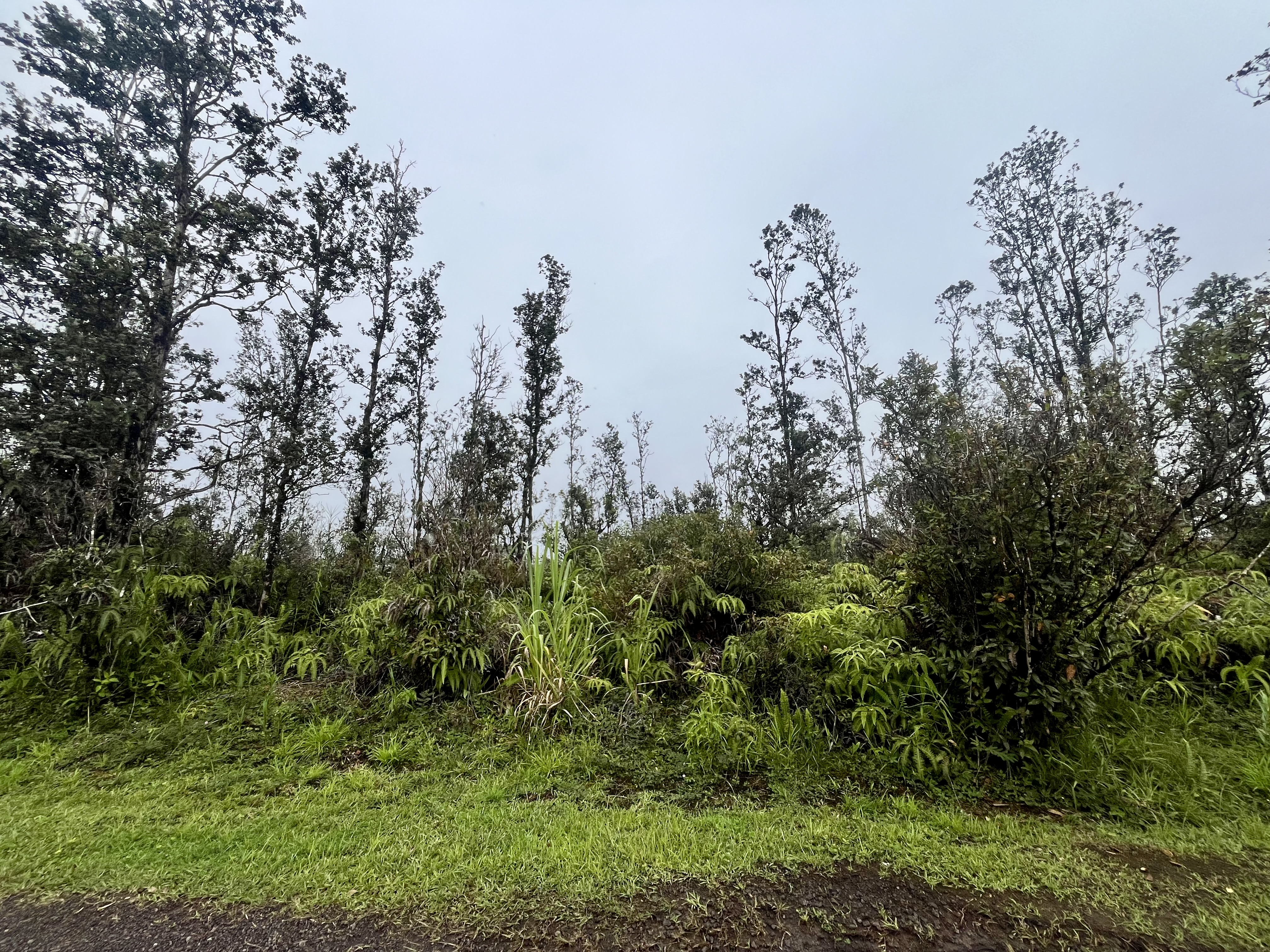 Road 4 (io Kea) Property Photo 2