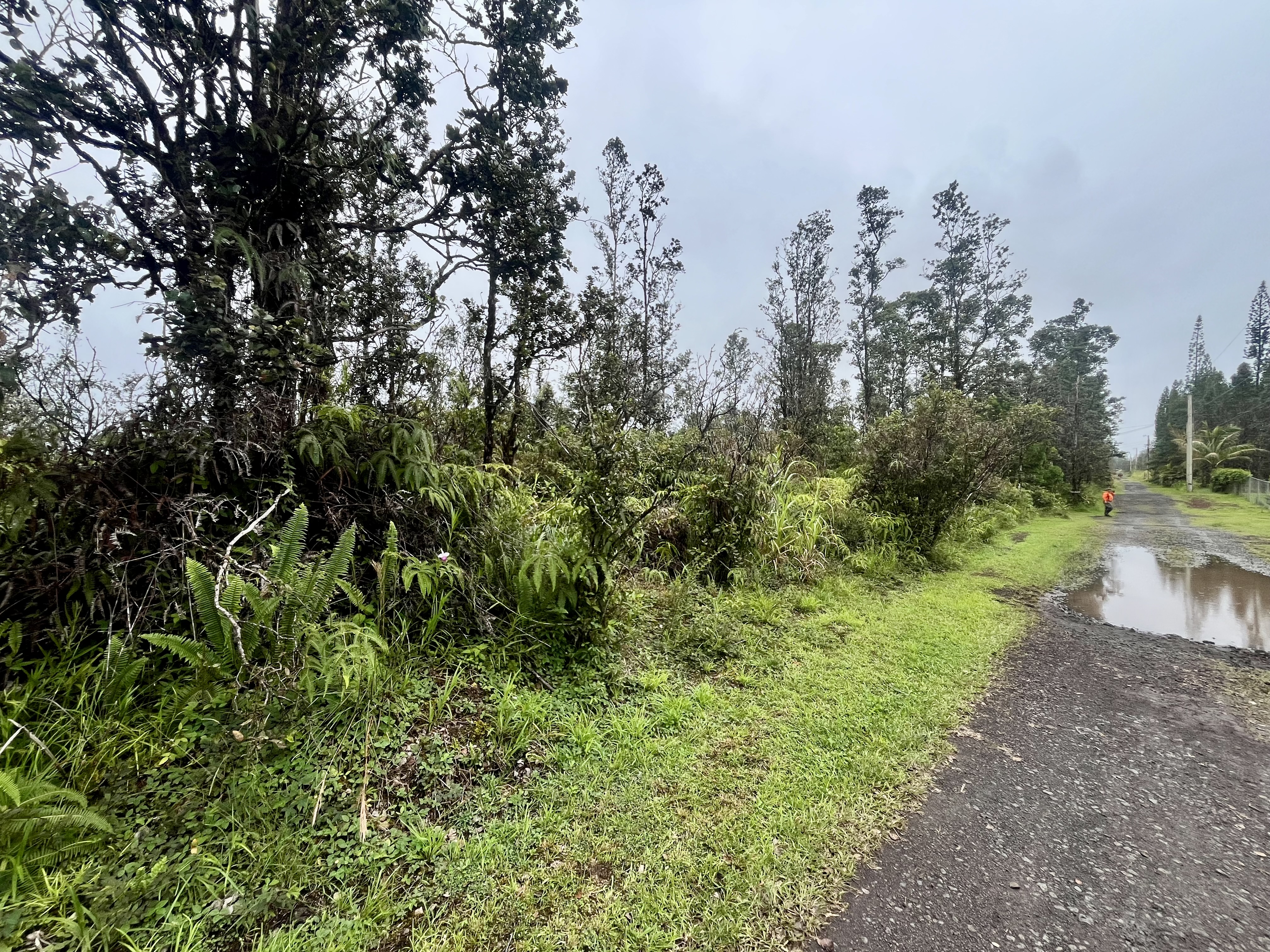 Road 4 (io Kea) Property Photo 6