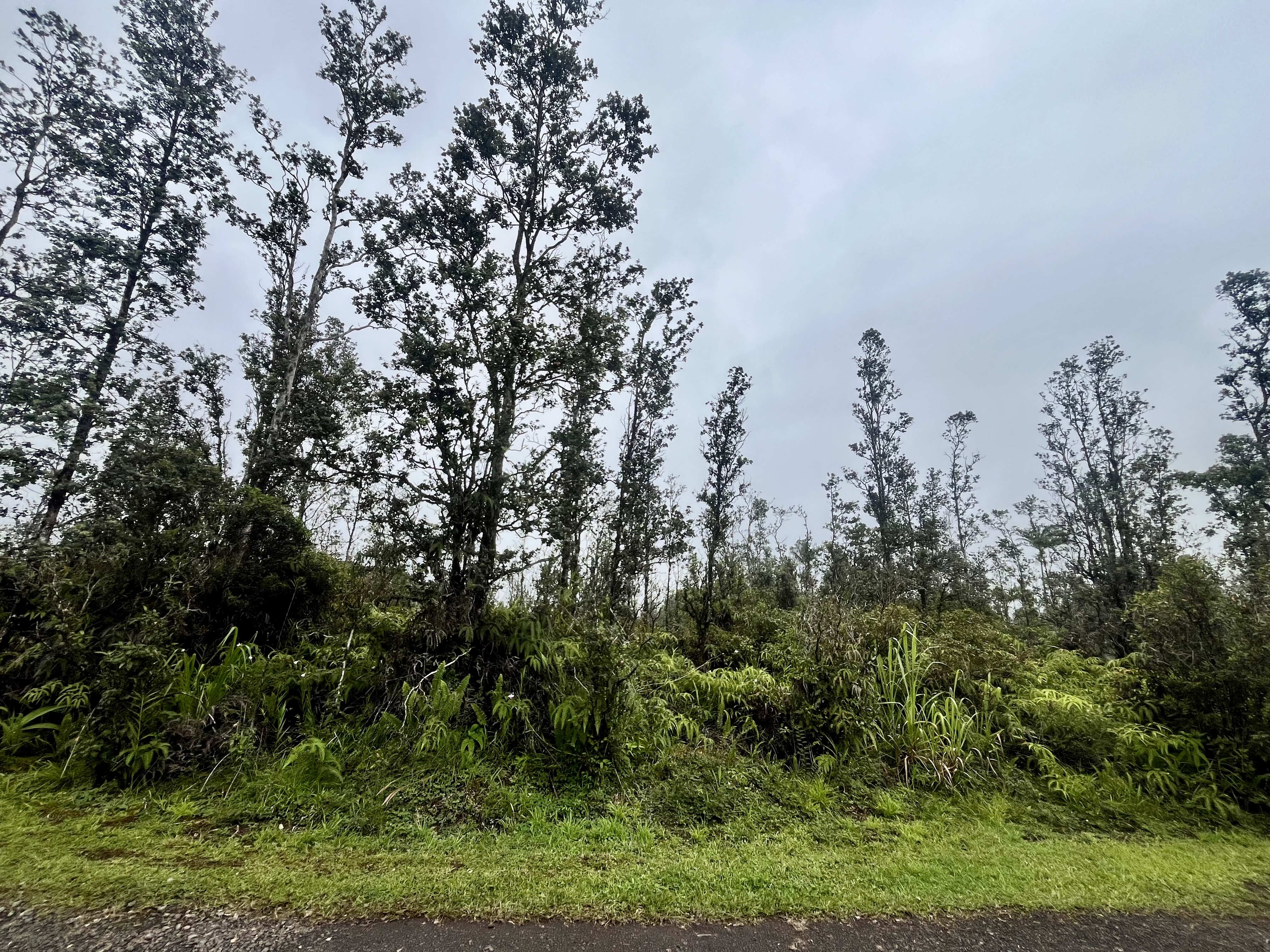 Road 4 (io Kea) Property Photo 7