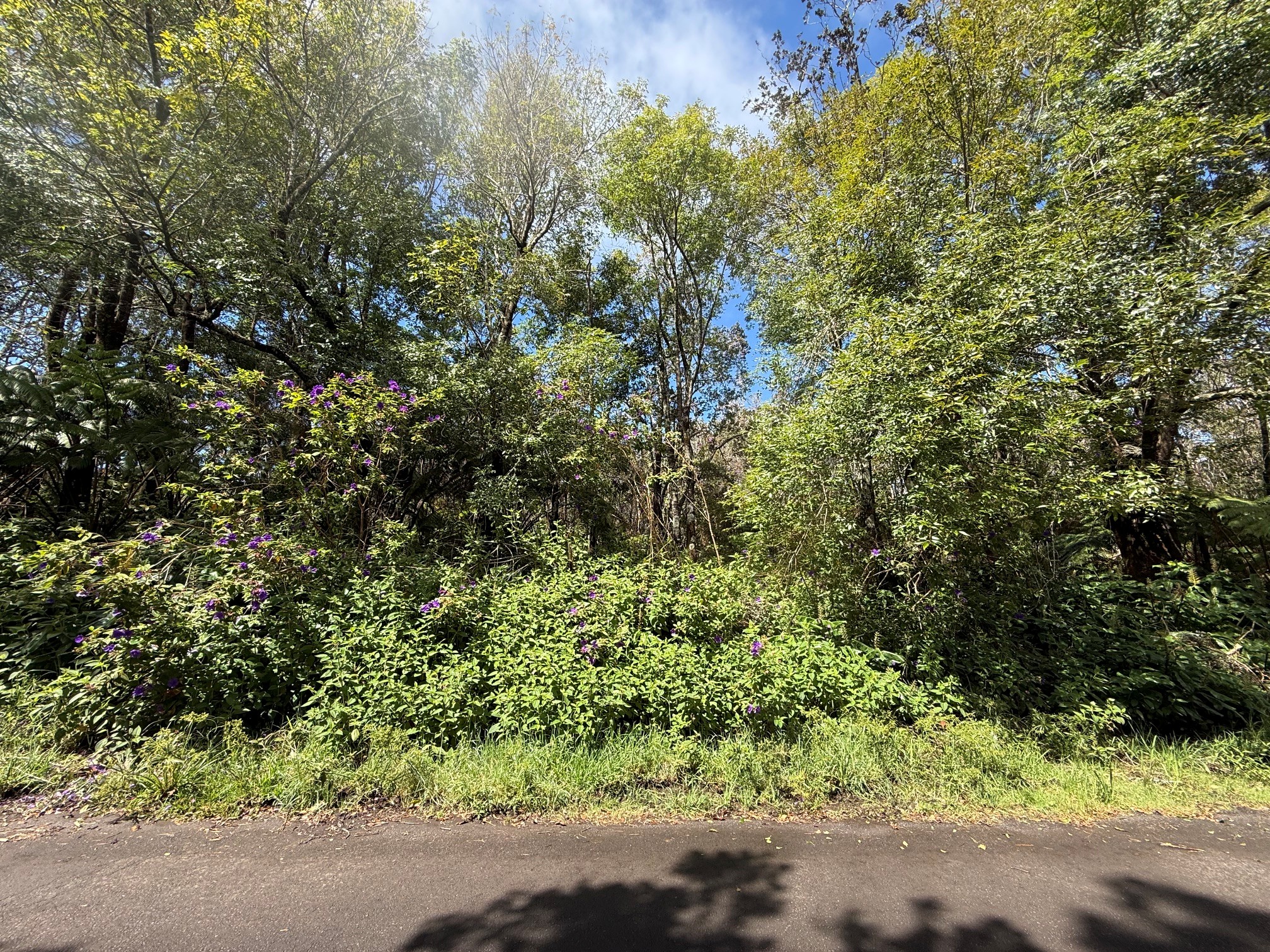 Haunani Rd Property Photo 1