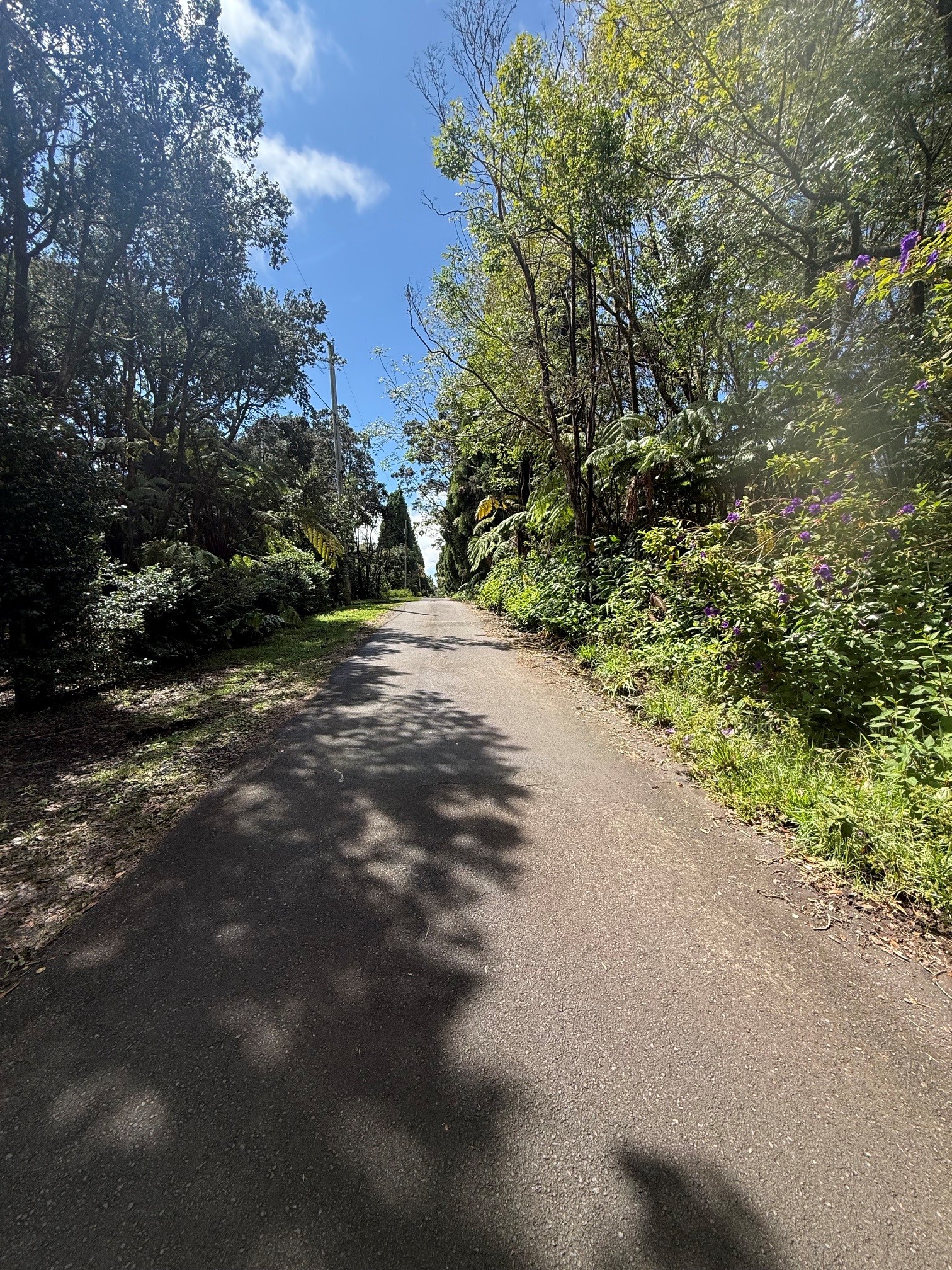 Haunani Rd Property Photo 2