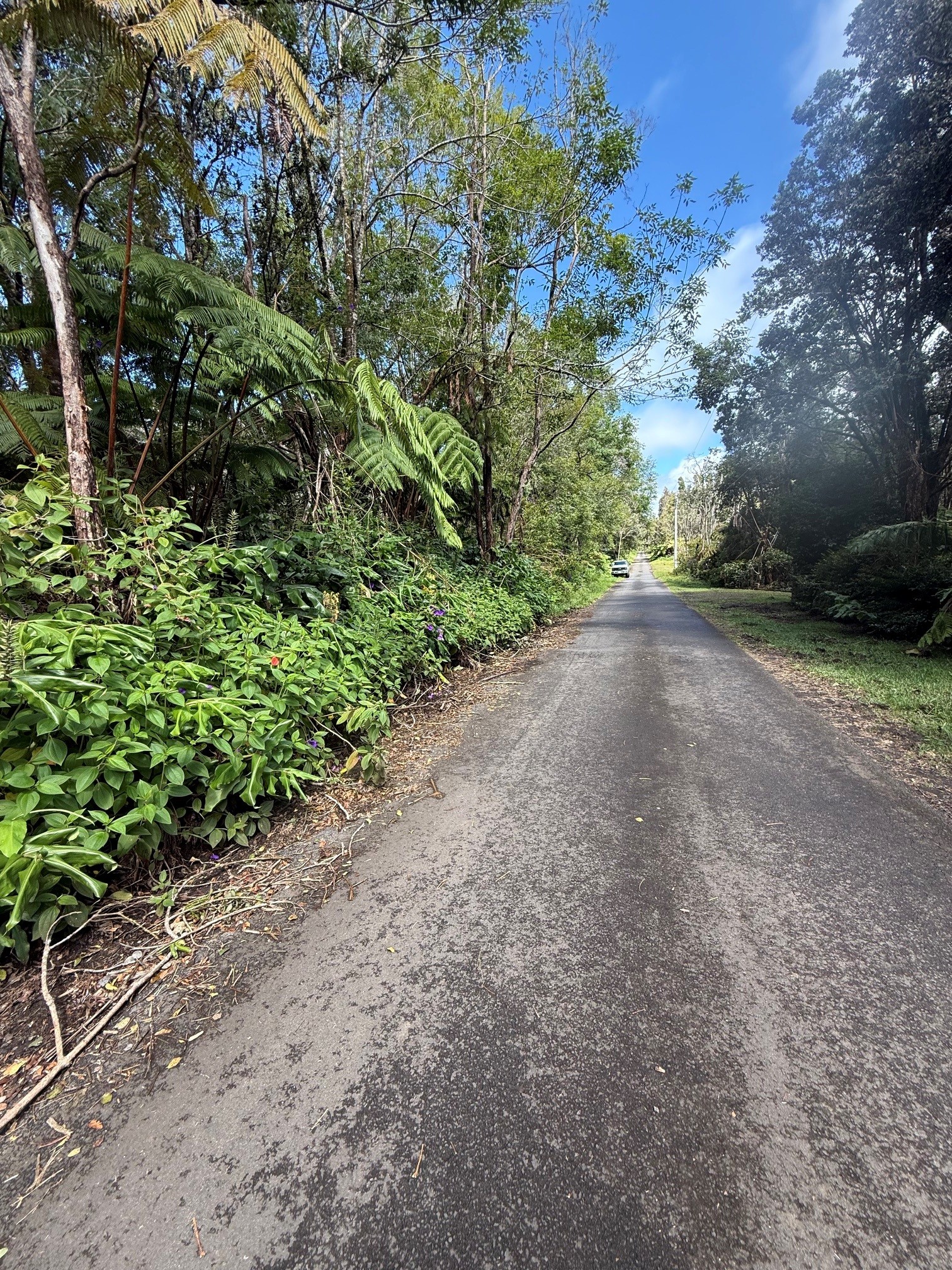 Haunani Rd Property Photo 3