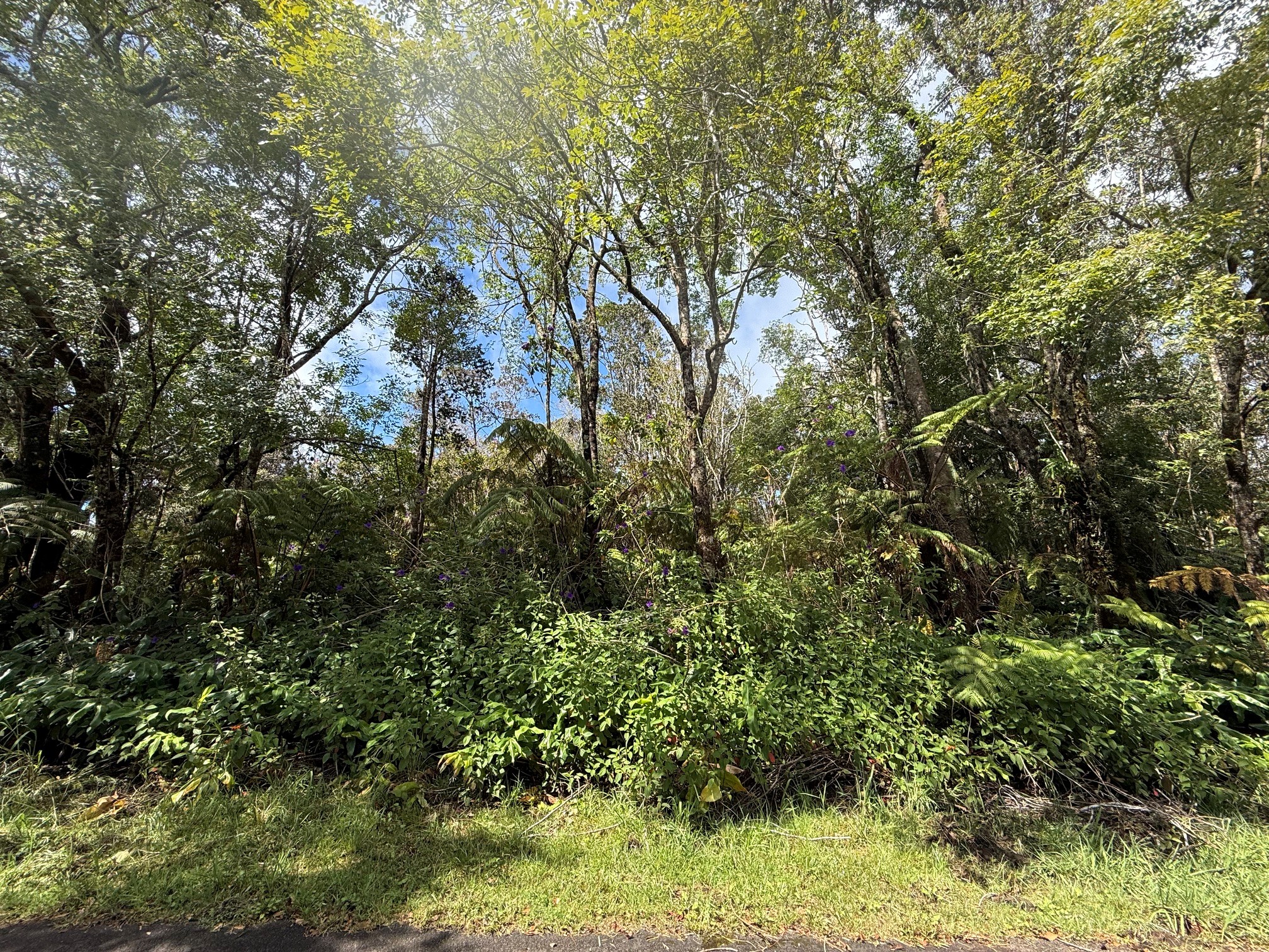 Haunani Rd Property Photo 4